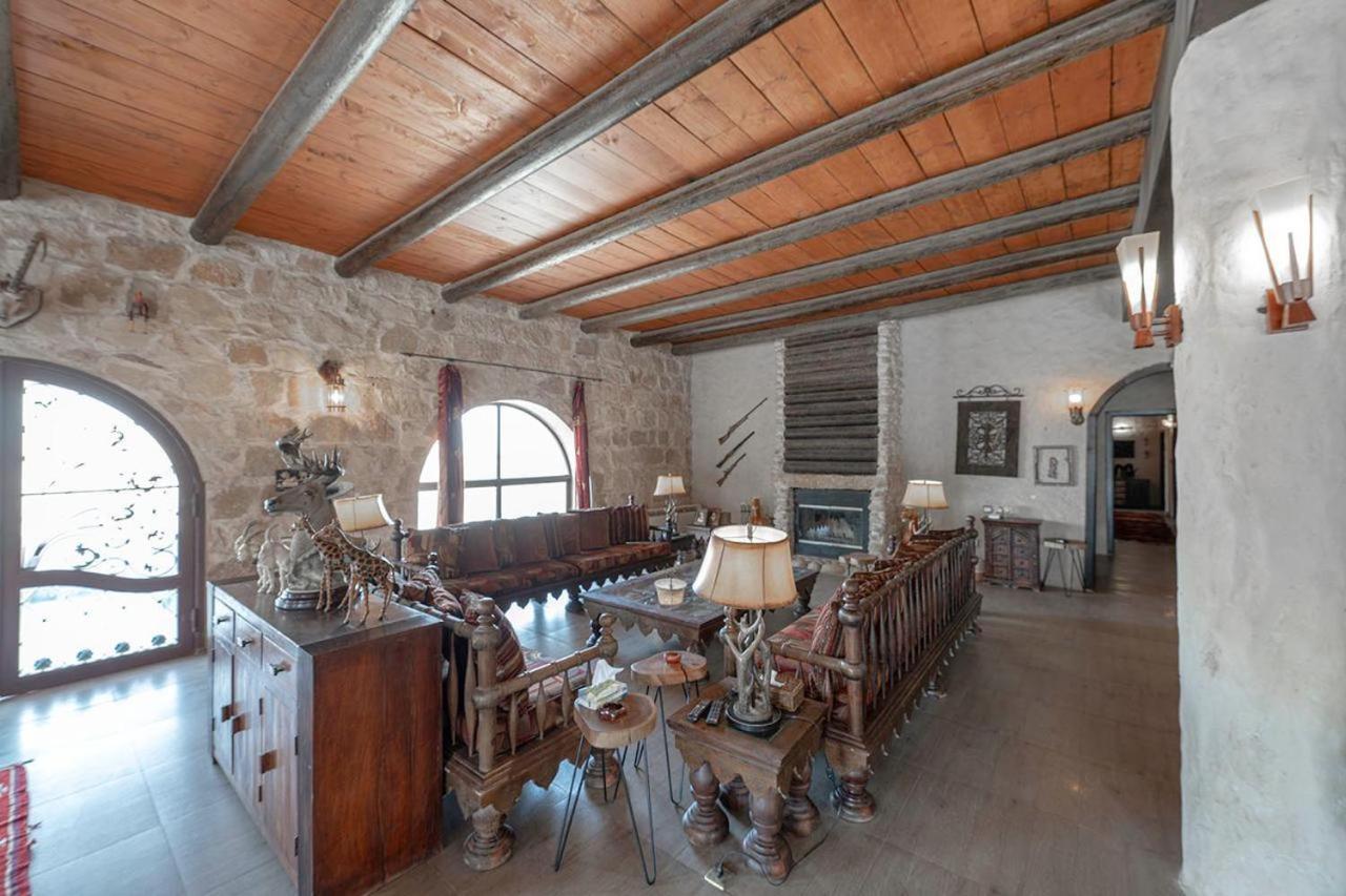 Superior Villa photo 1