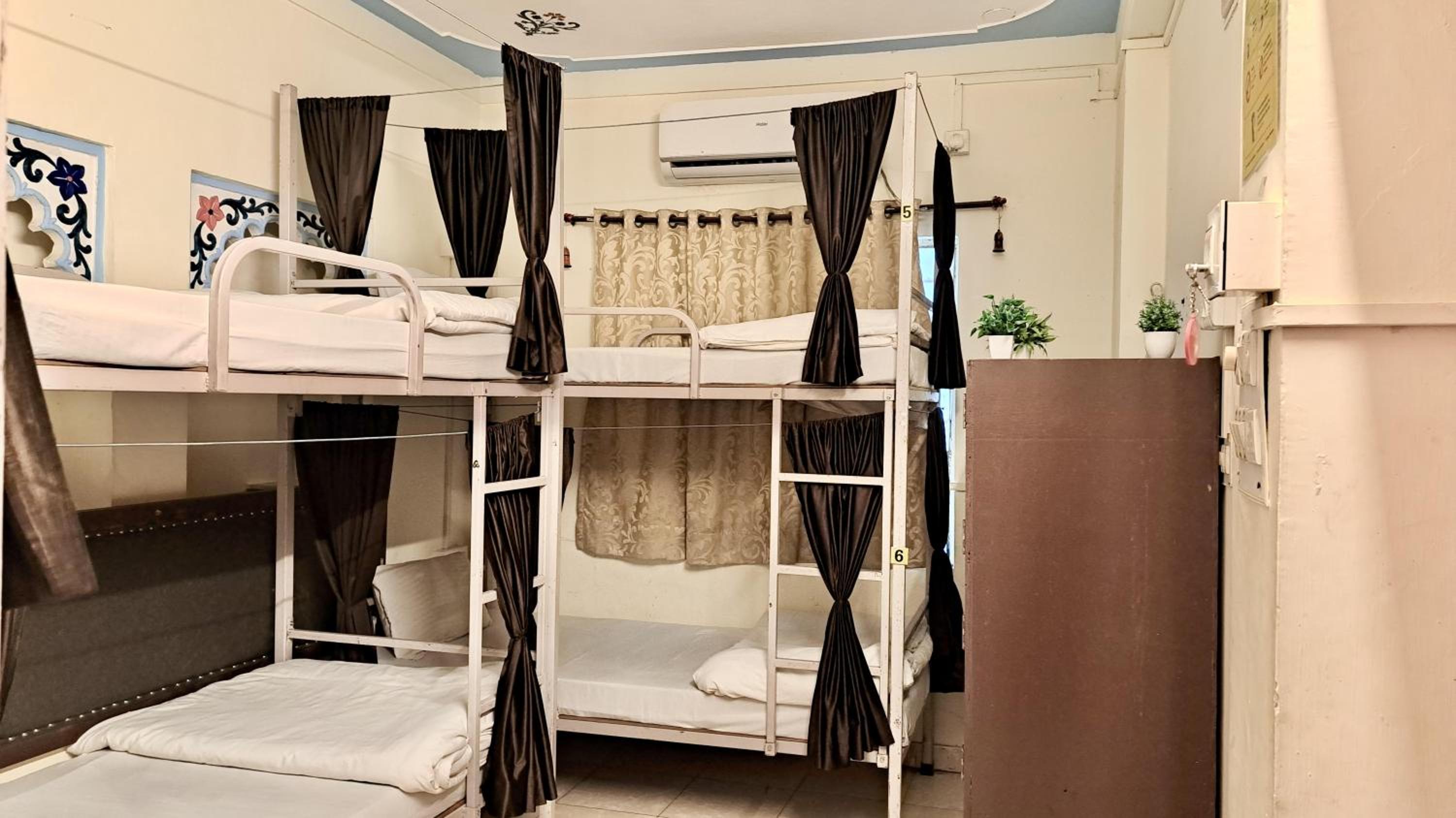 Bunk Bed in Mixed Dormitory Room photo 3