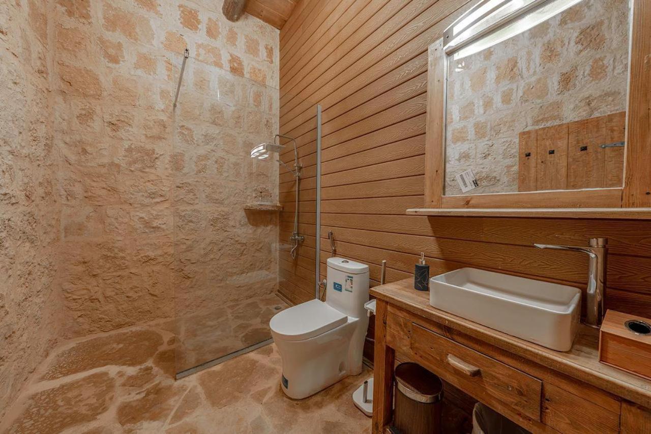 Deluxe Villa photo 2