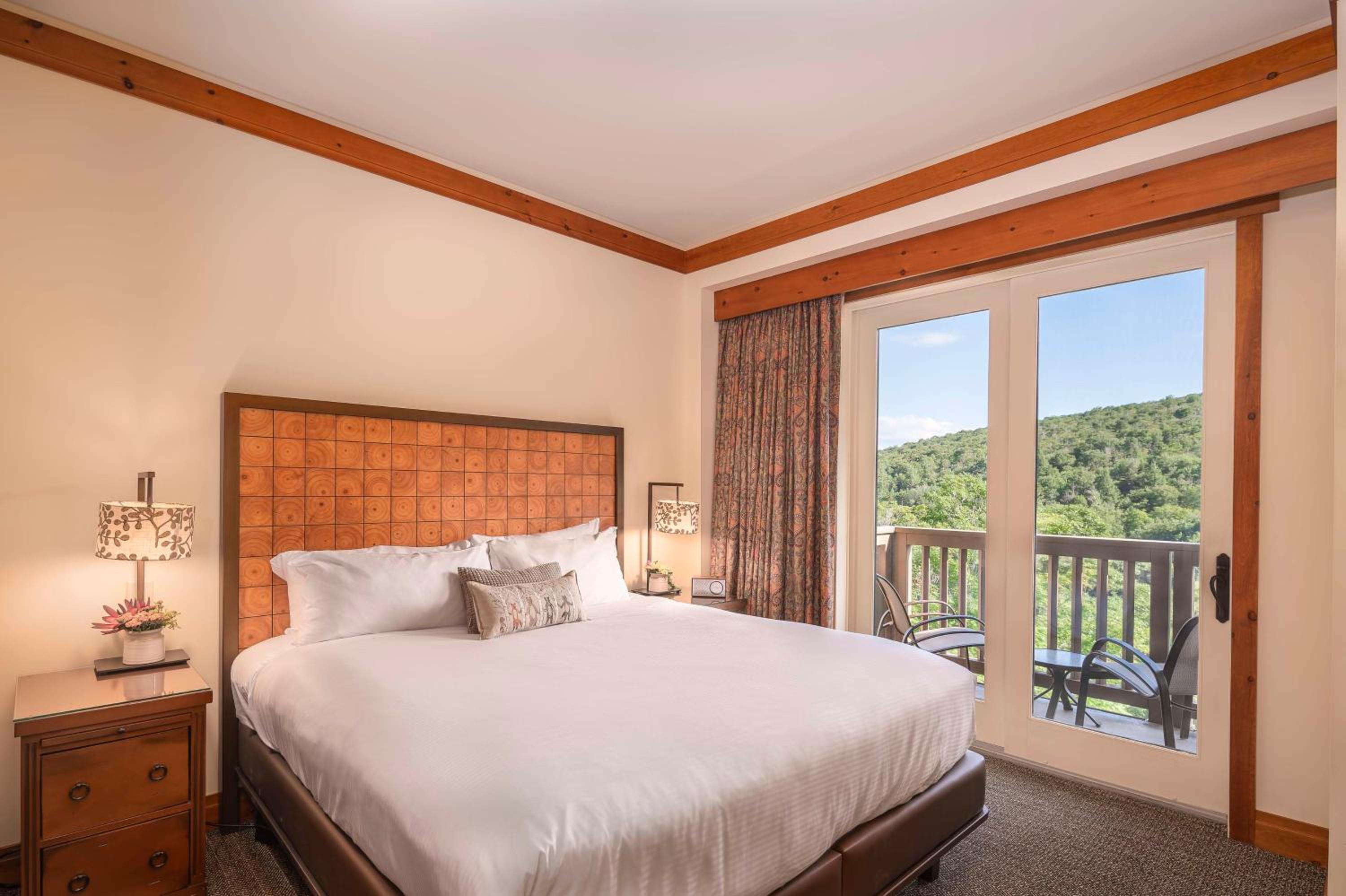 One-Bedroom Suite - Photo 1