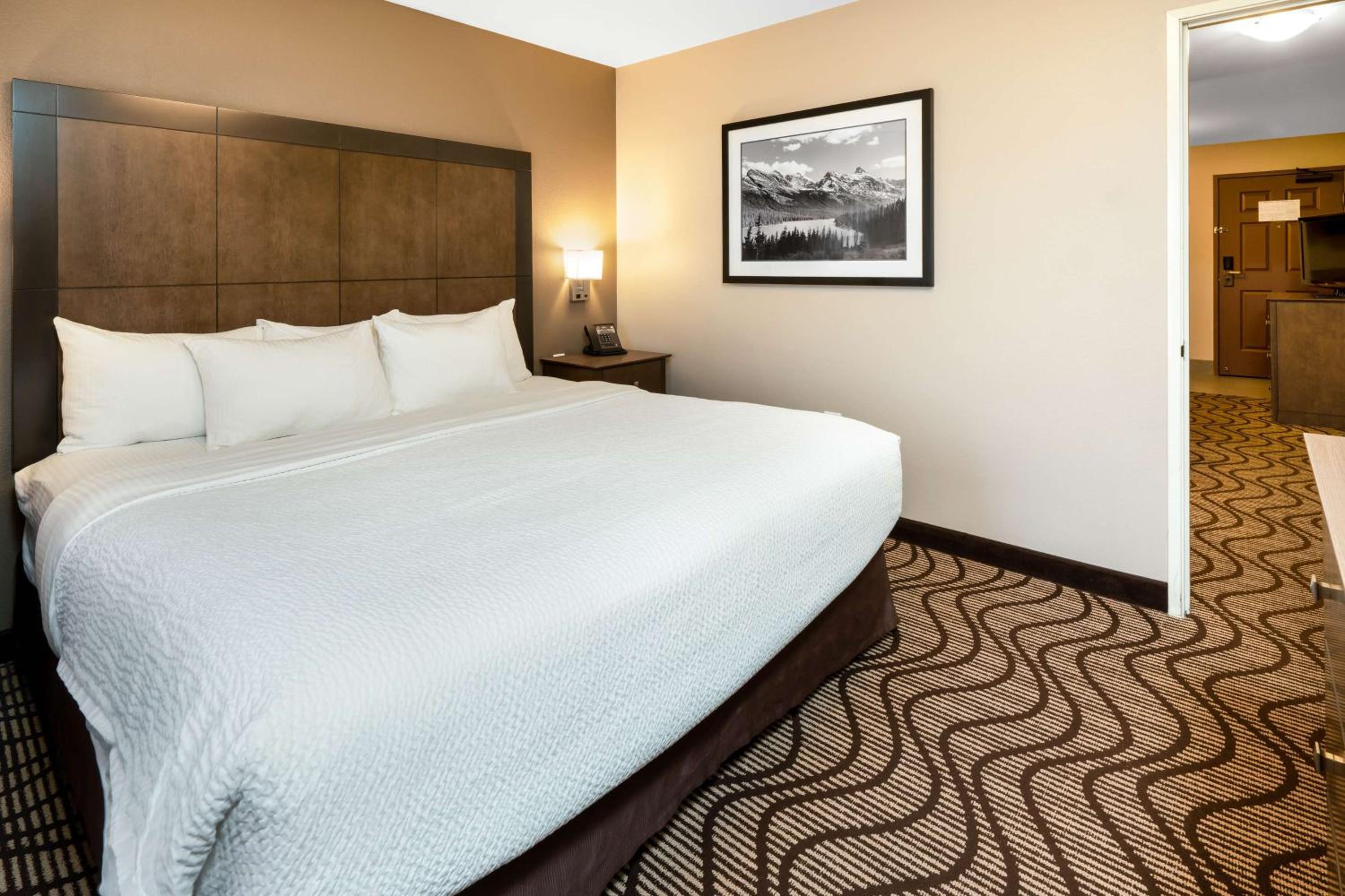 One-Bedroom Suite