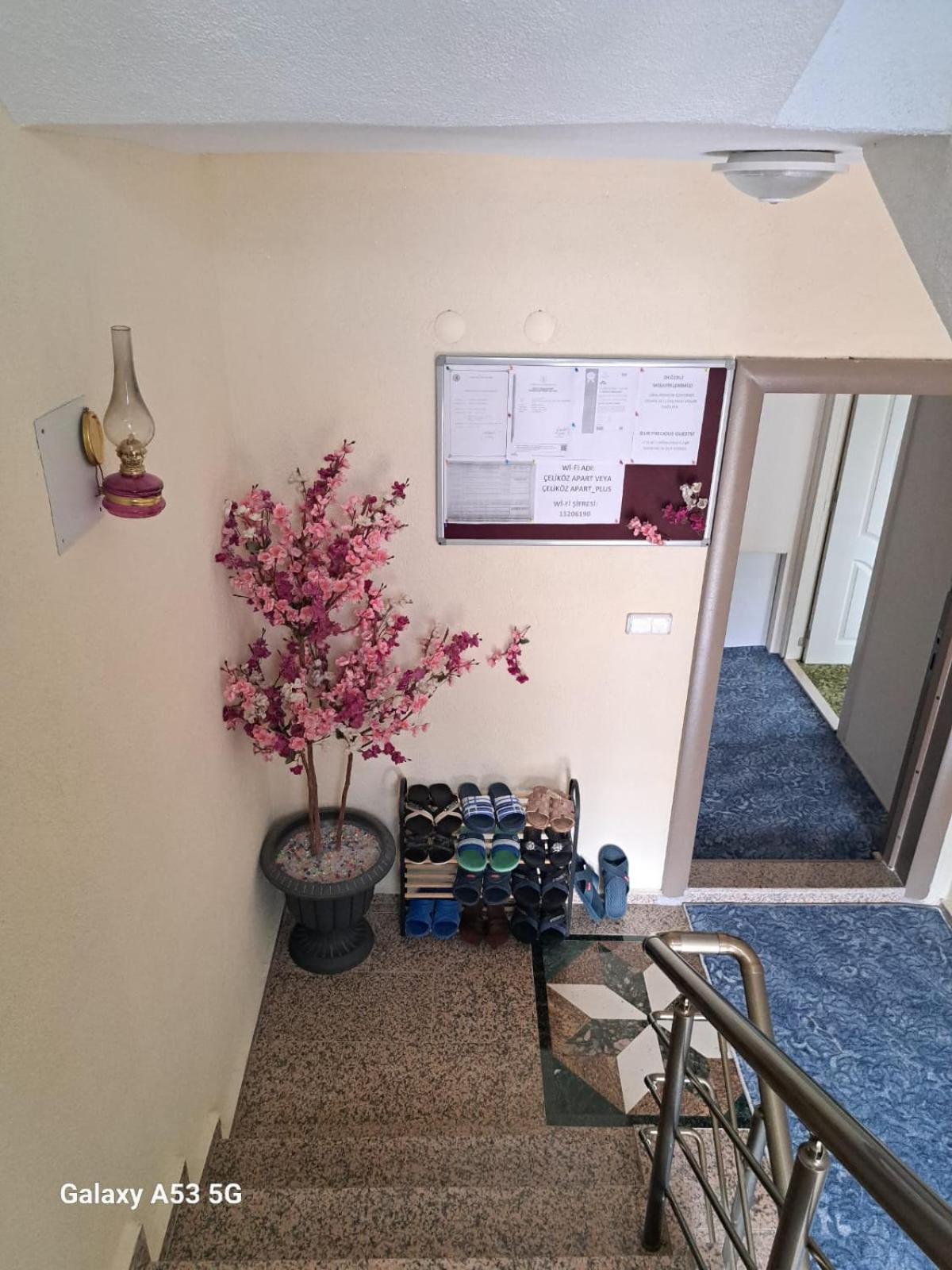 One-Bedroom Apartment - Photo 13