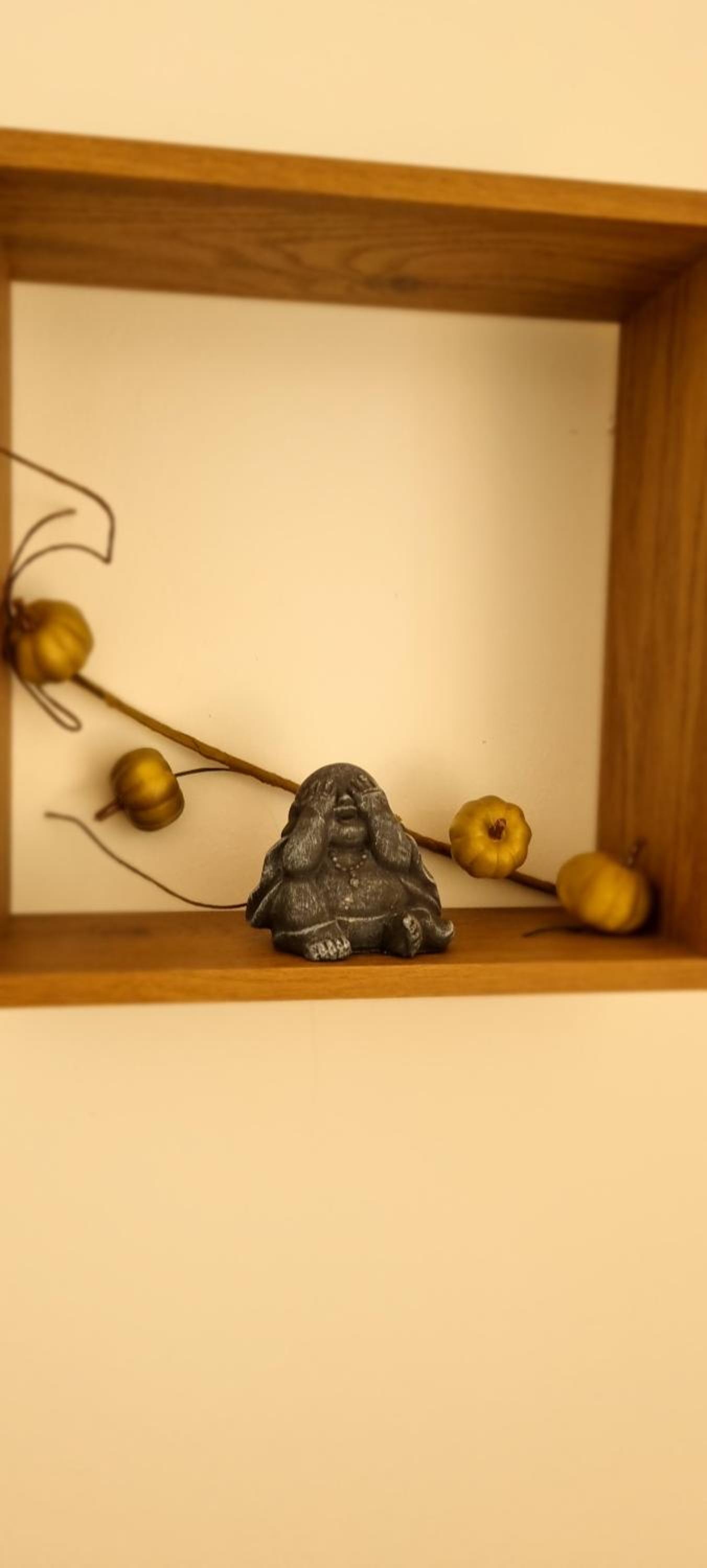 Family Studio photo 2