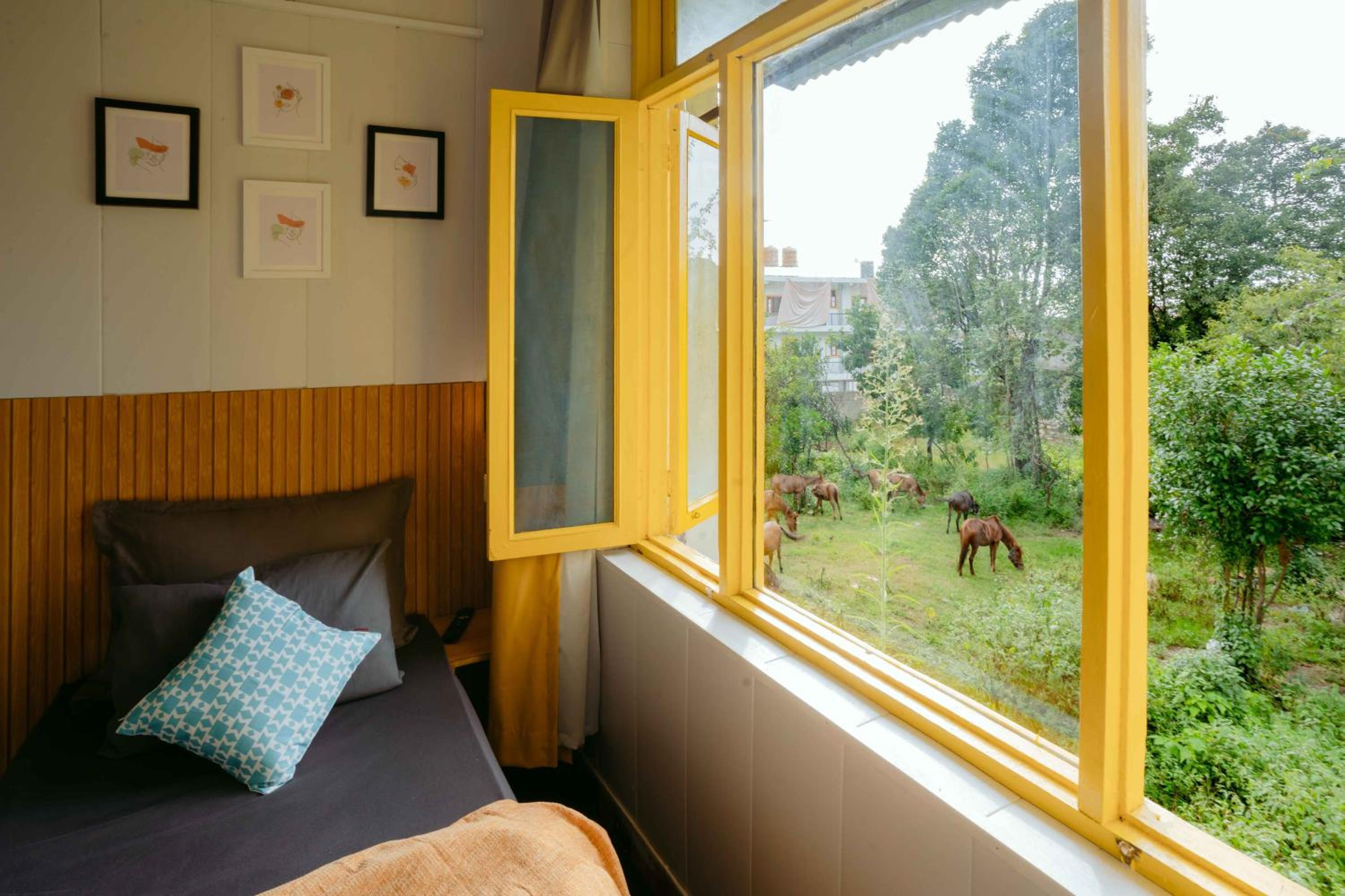 Deluxe Single Room photo 3