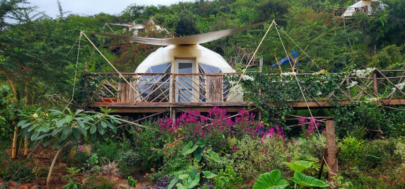 Tent photo 2