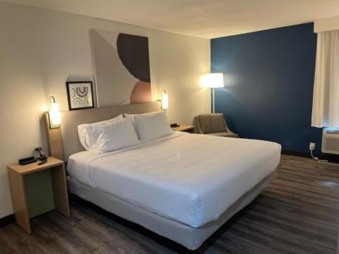 King Room - Photo 1