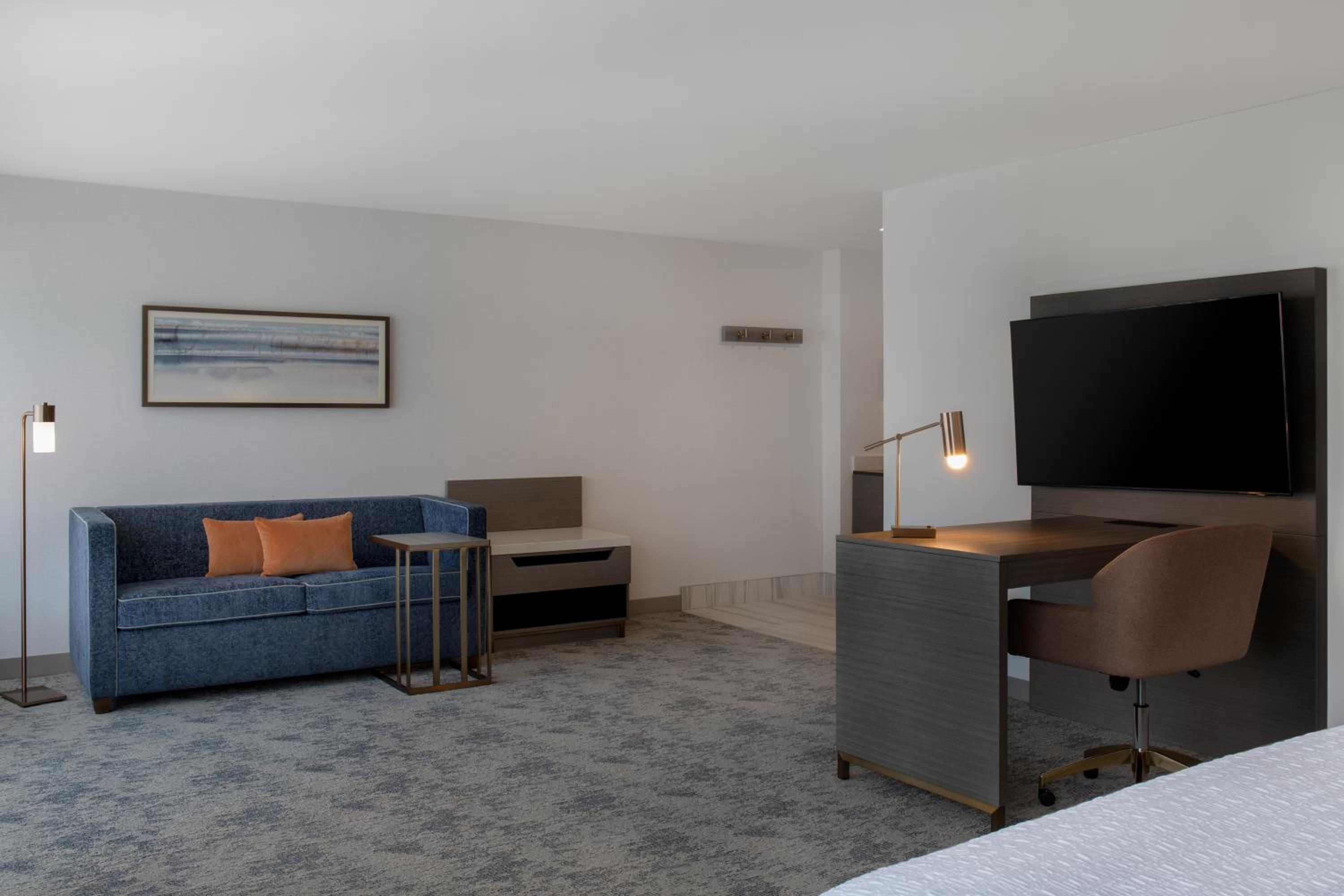 King Studio Suite - Photo 2