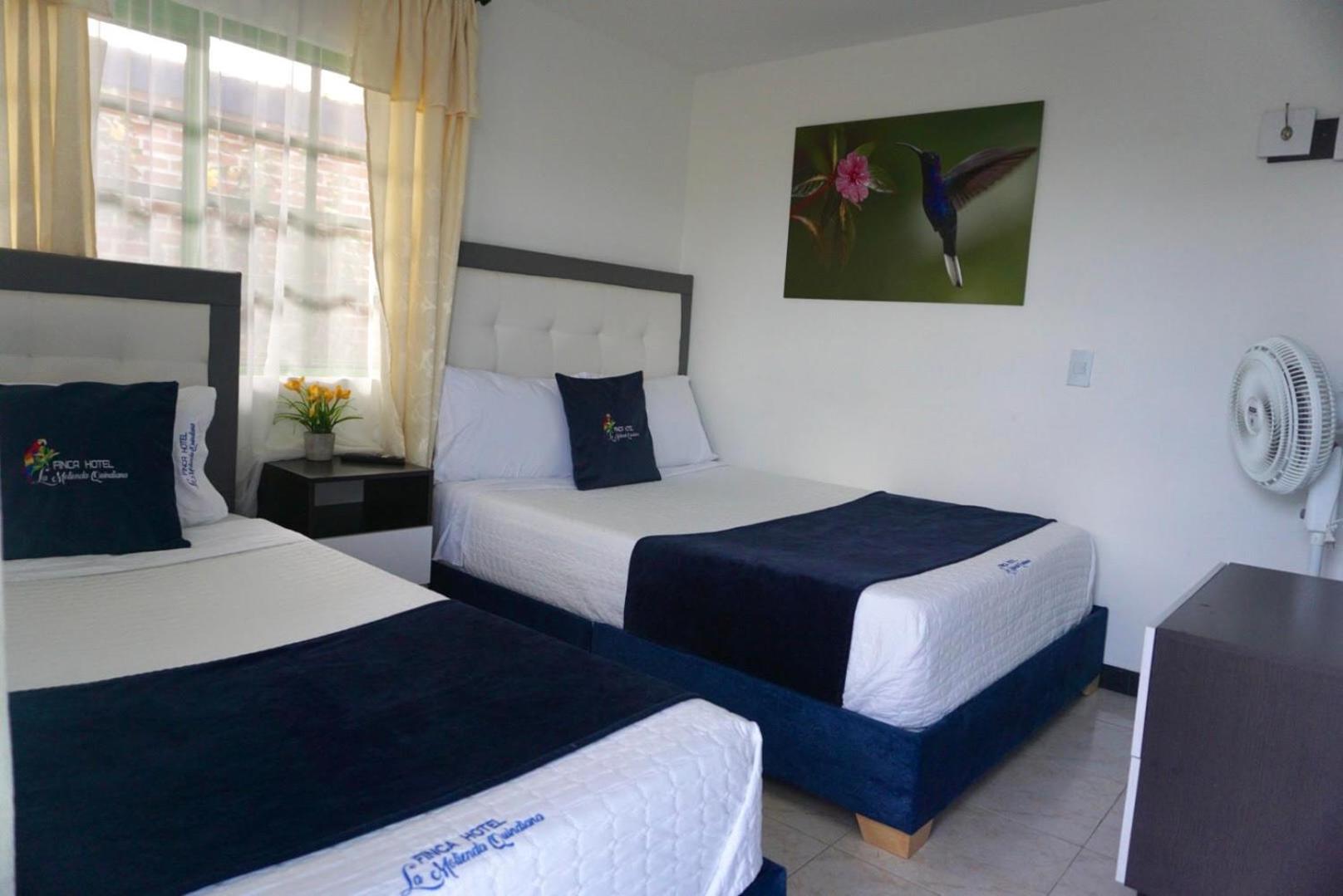 Twin Room photo 3