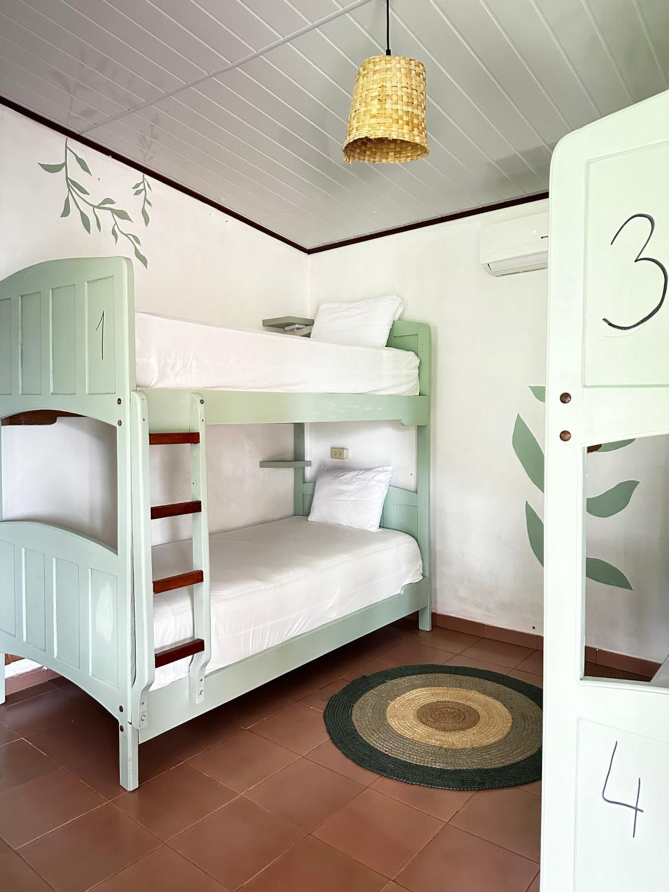 Bunk Bed in Mixed Dormitory Room photo 1