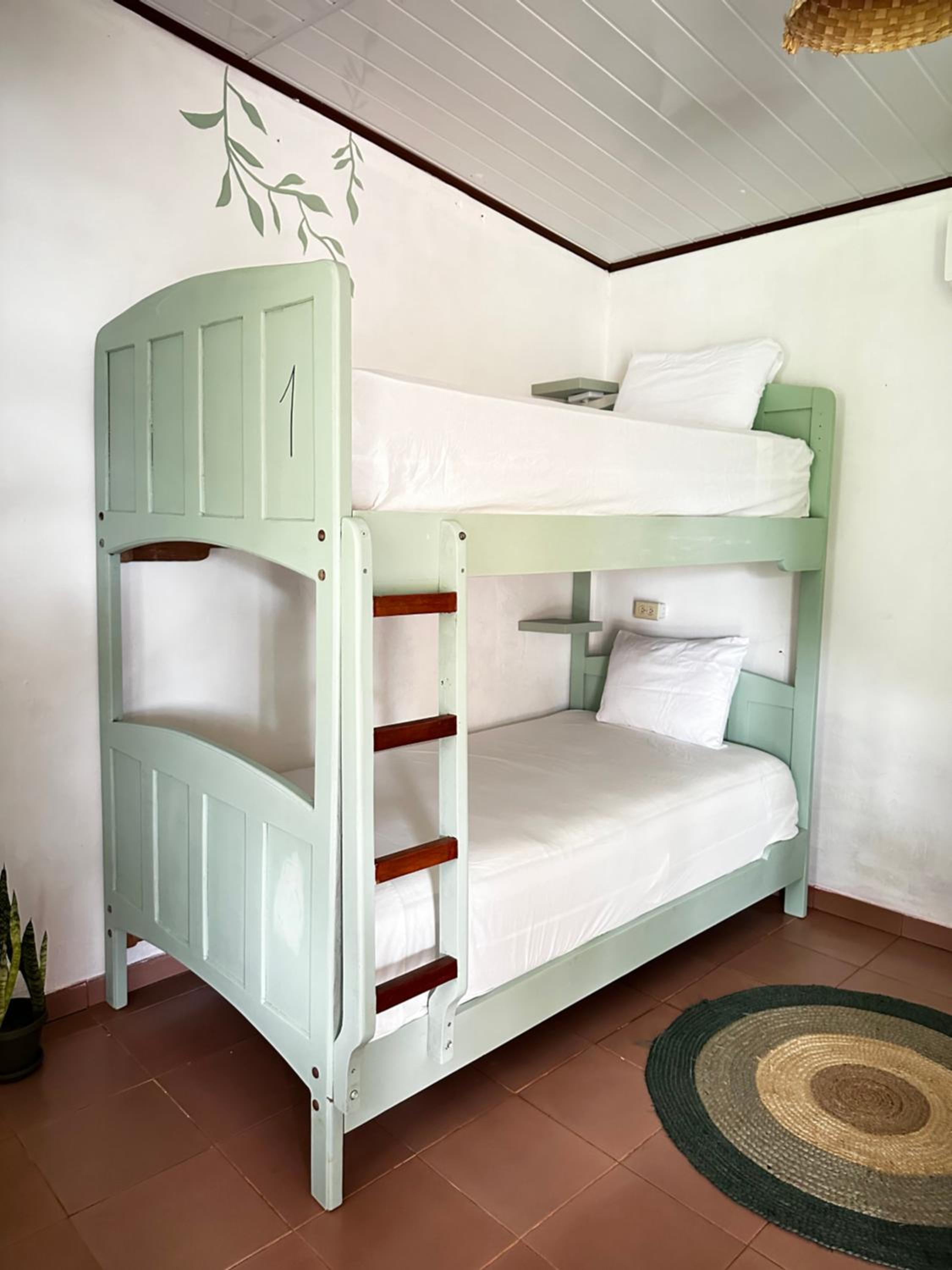Bunk Bed in Mixed Dormitory Room photo 1