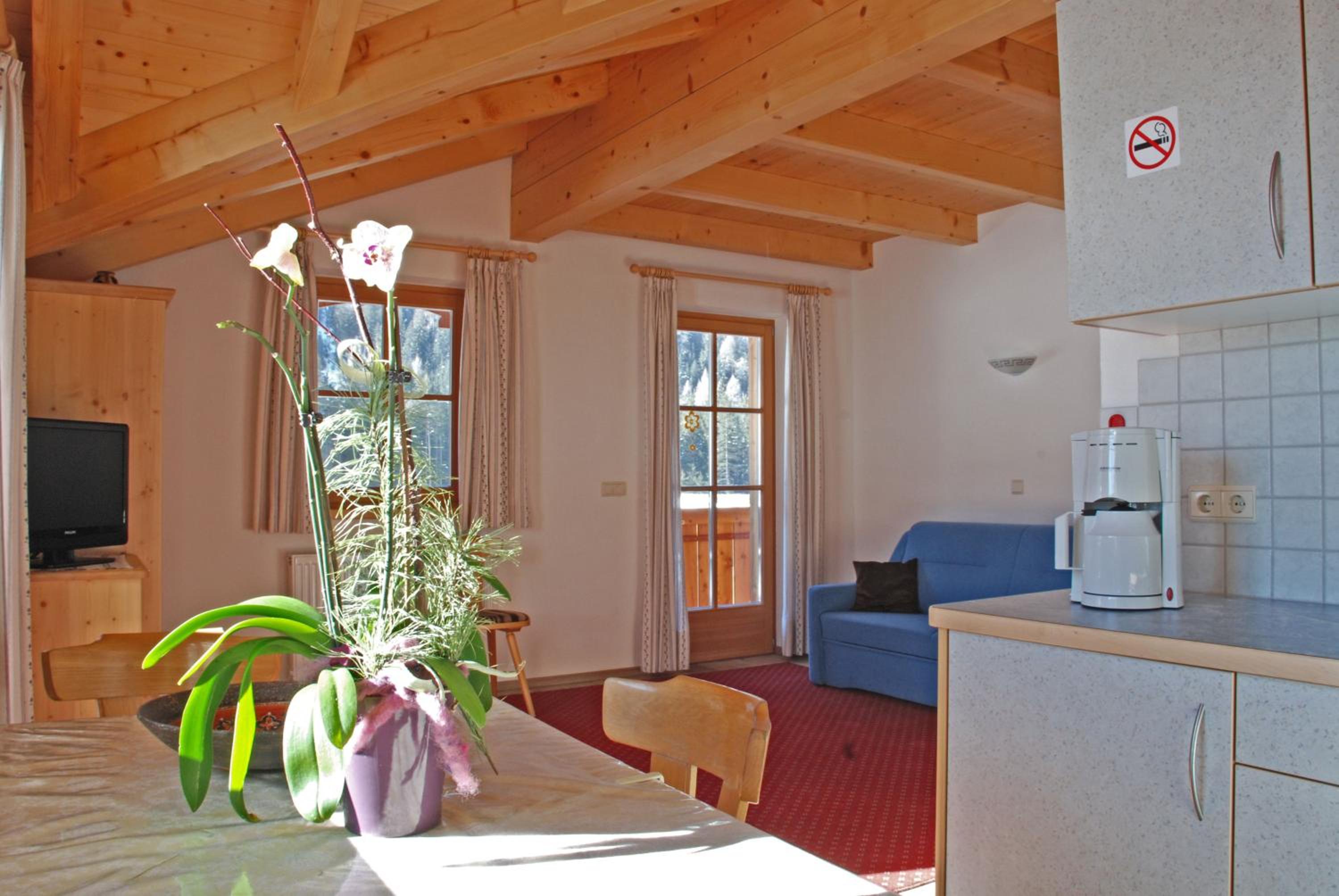 Apartment with Mountain View