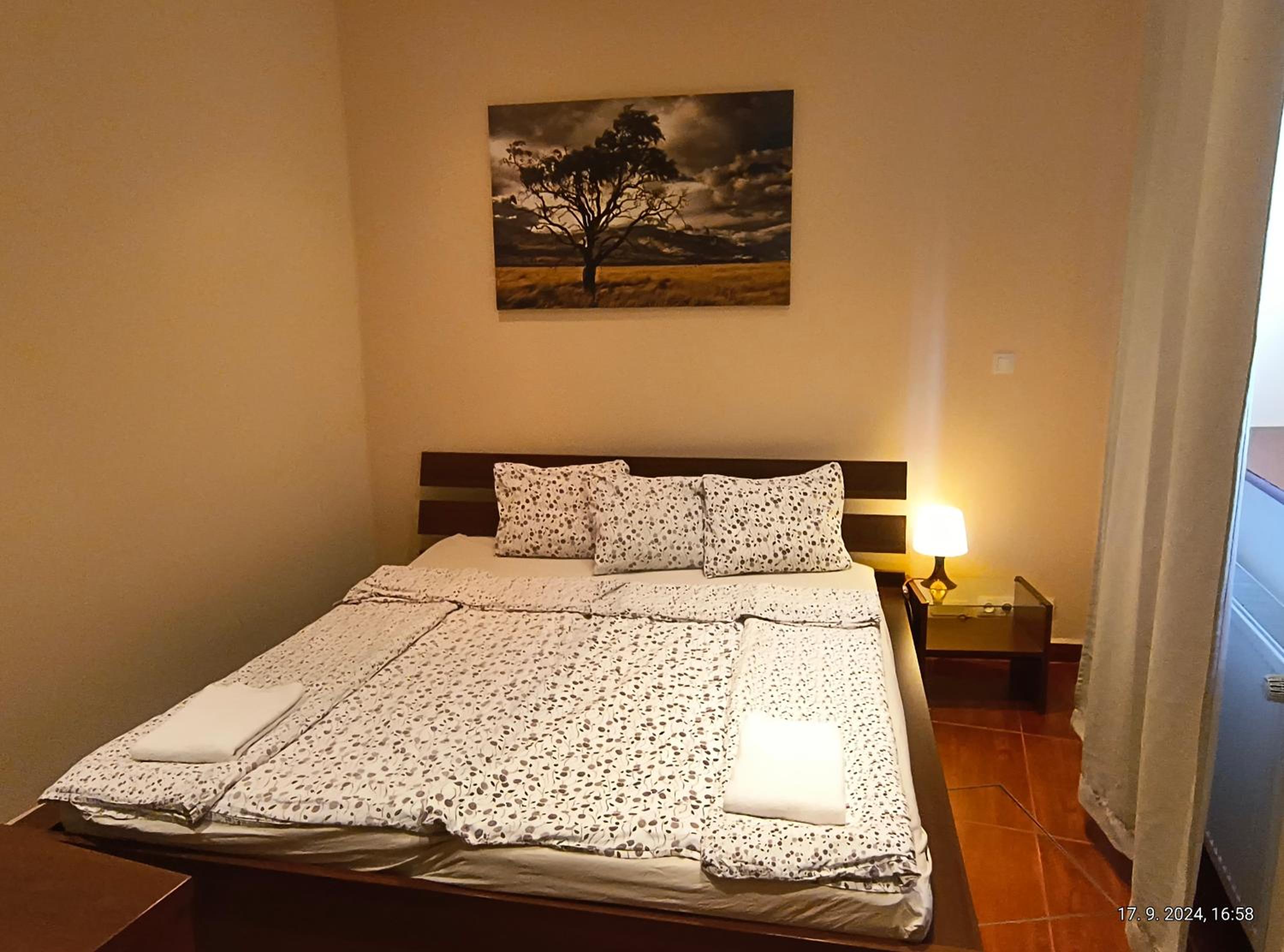 One-Bedroom Apartment photo 3