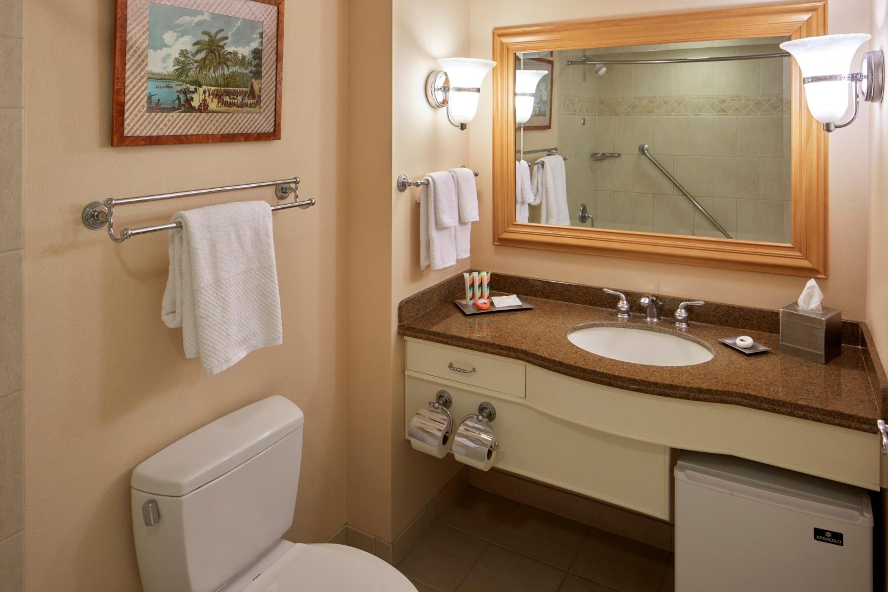 King Room with Ocean View photo 3