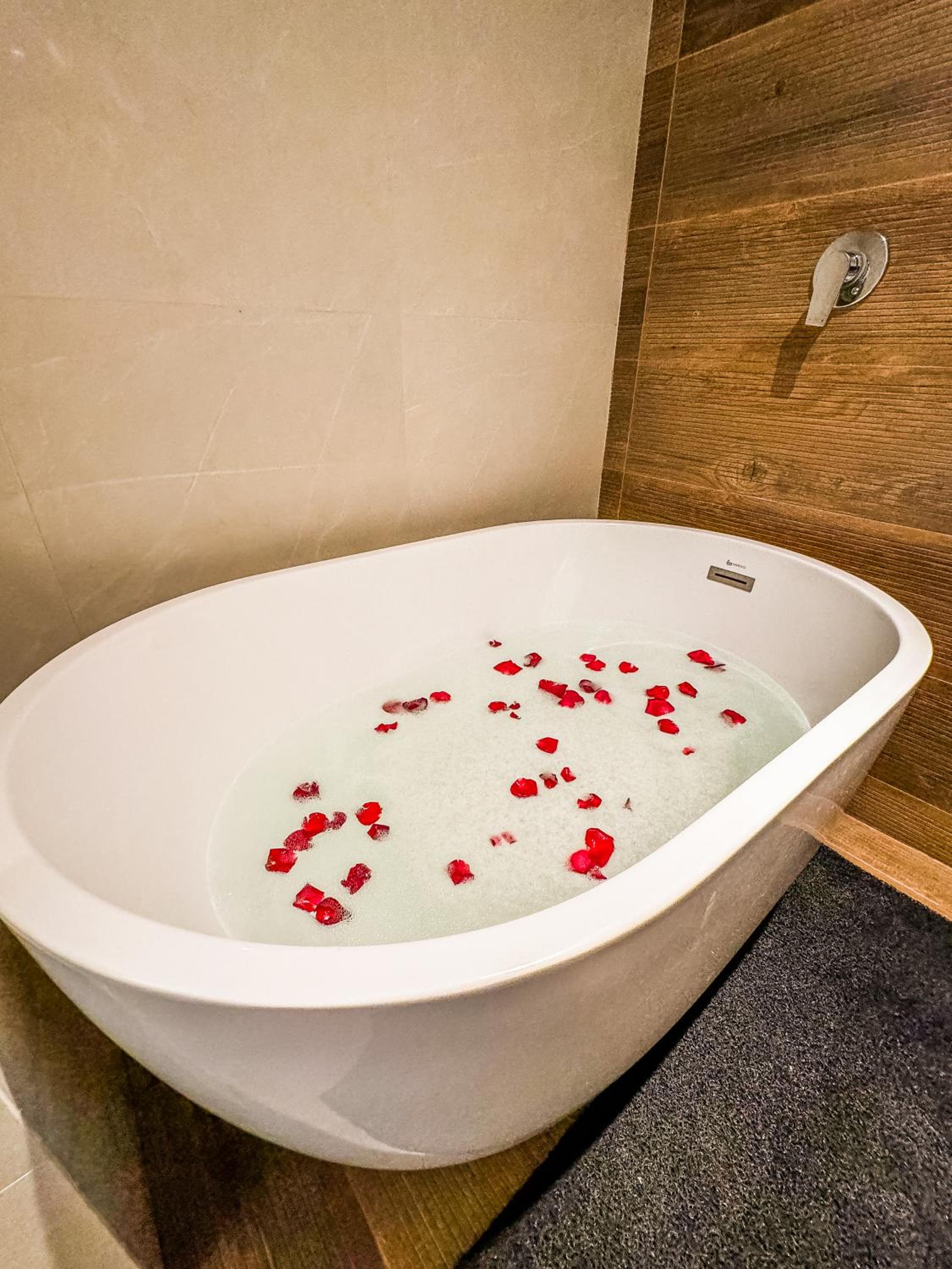 Premium Suite - Photo 2