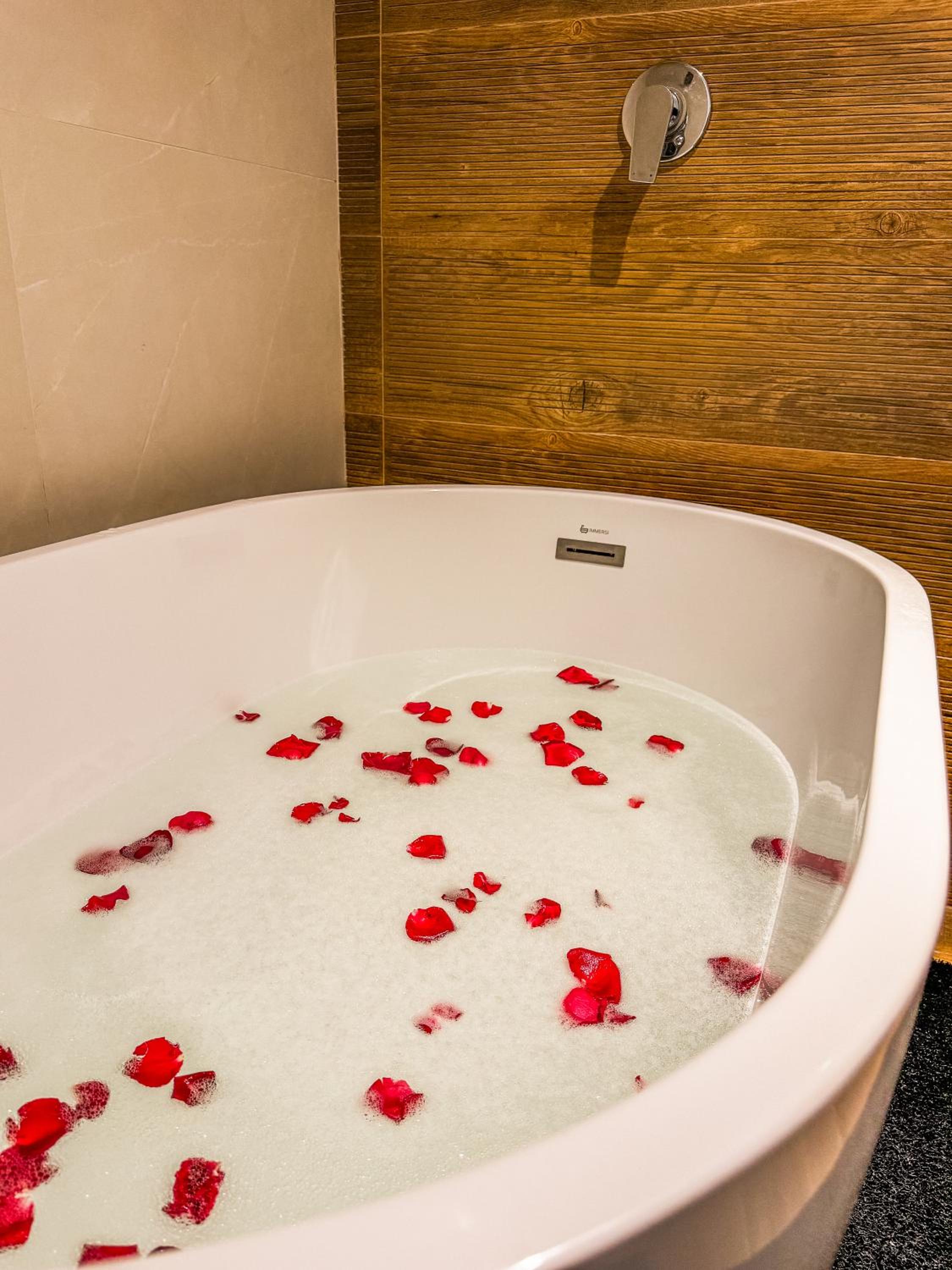 Premium Suite - Photo 4