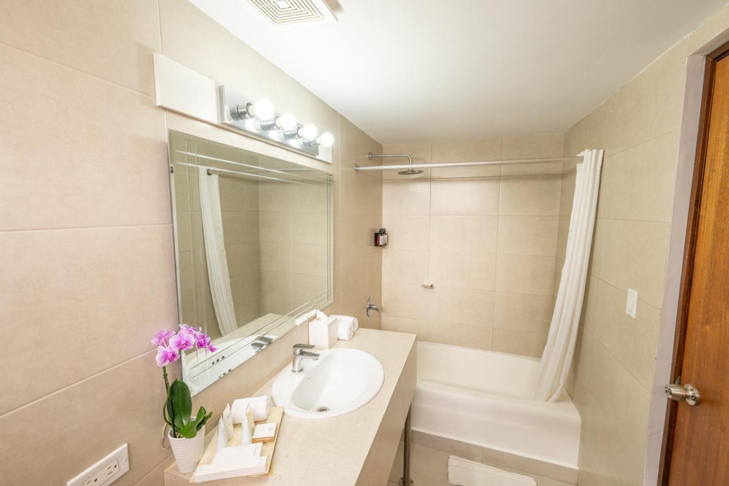 One-Bedroom Suite - Photo 9