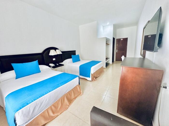 Superior Double or Twin Room photo 3