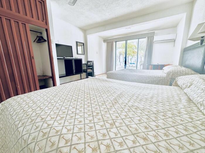 Quarto Standard Um