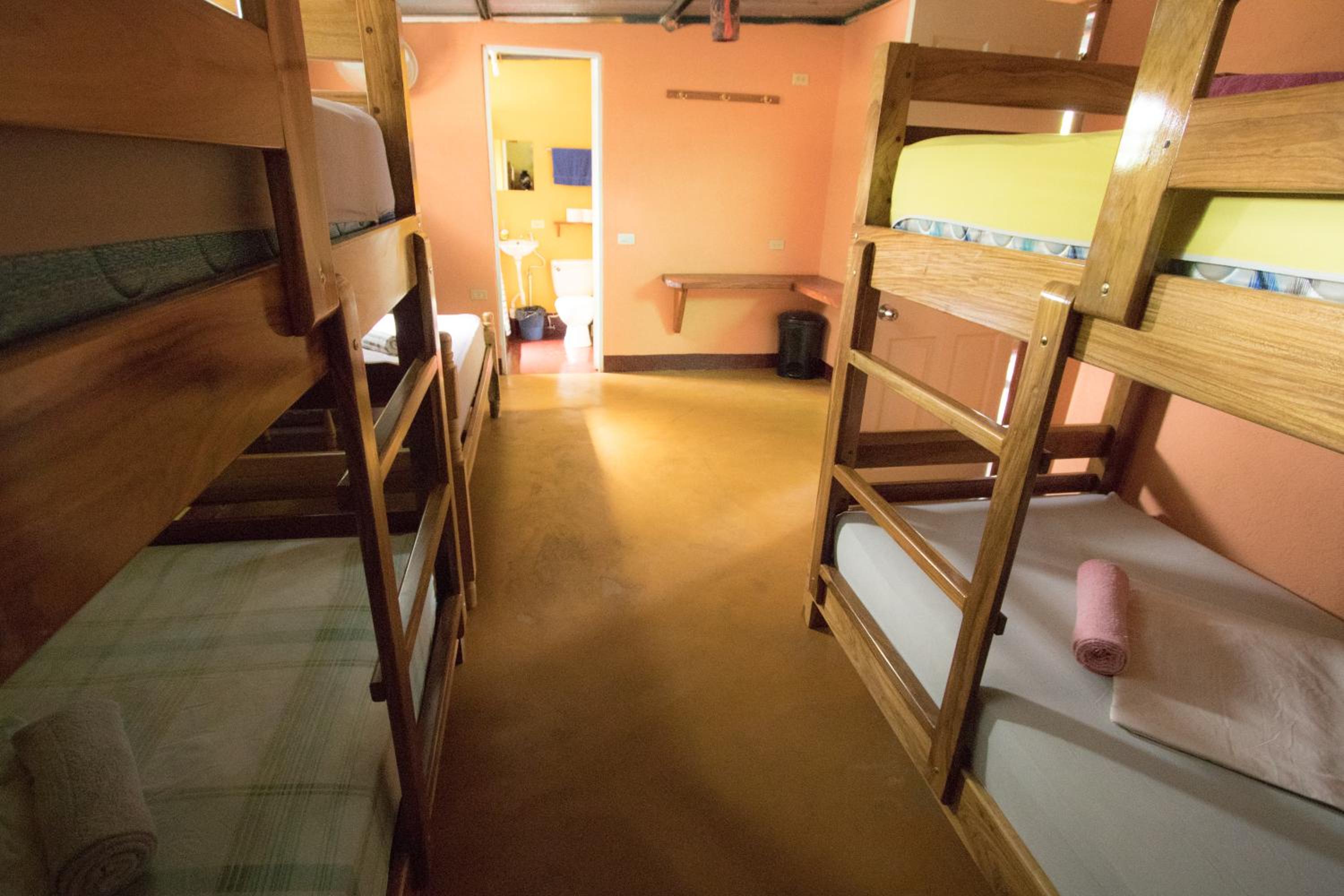 Bunk Bed in Mixed Dormitory Room photo 2