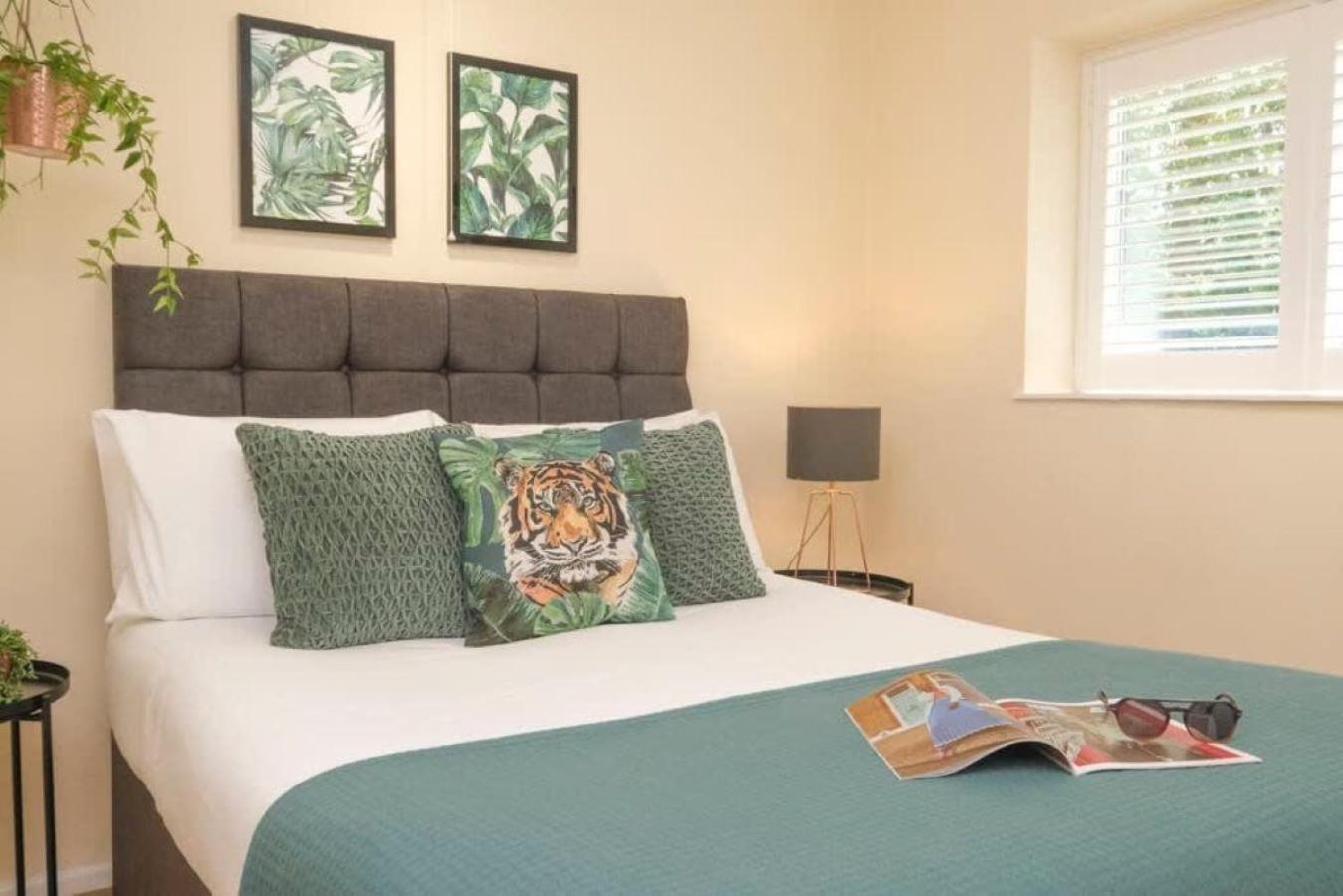 Large Double Room photo 3