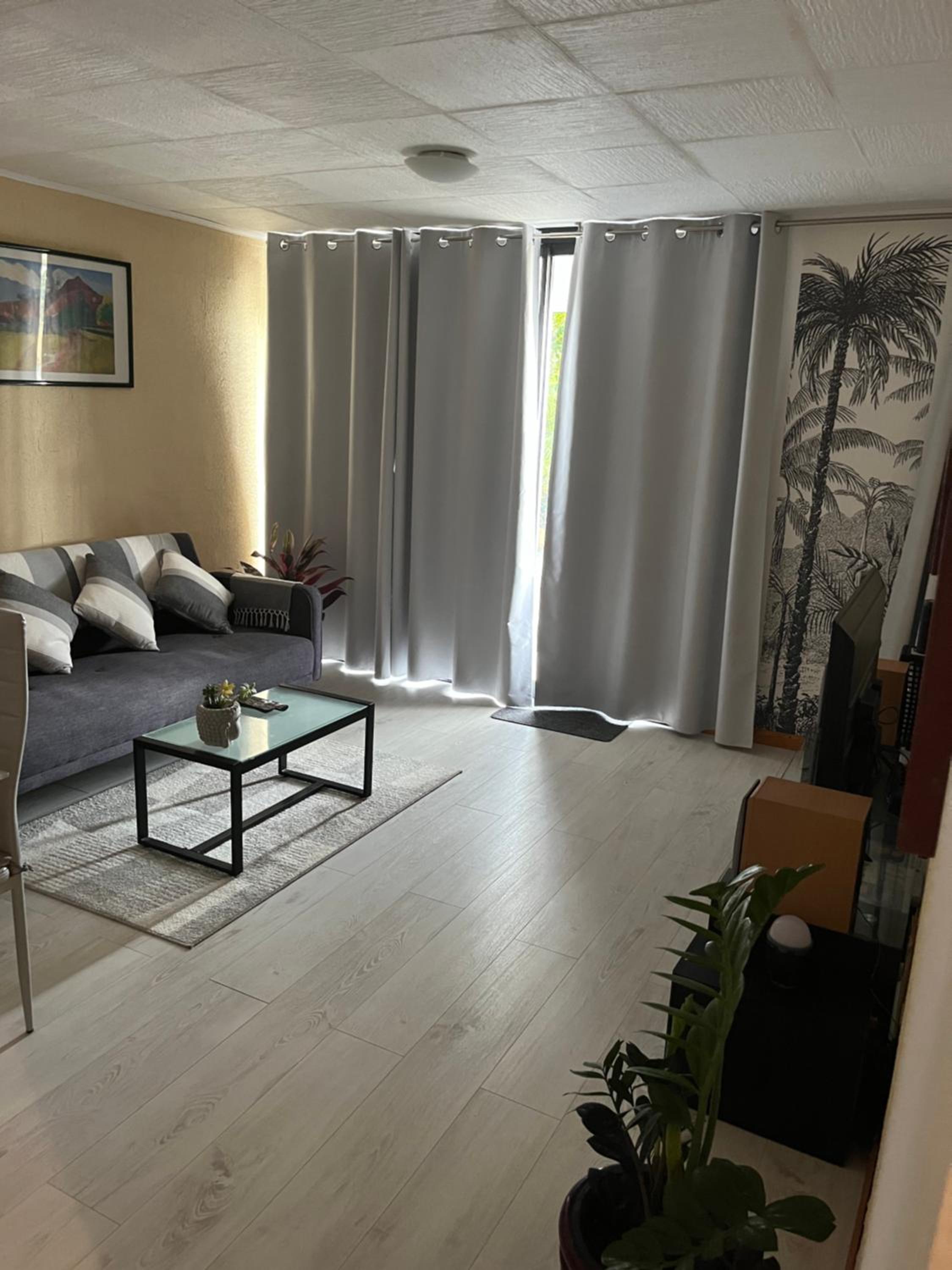 One-Bedroom Apartment photo 3