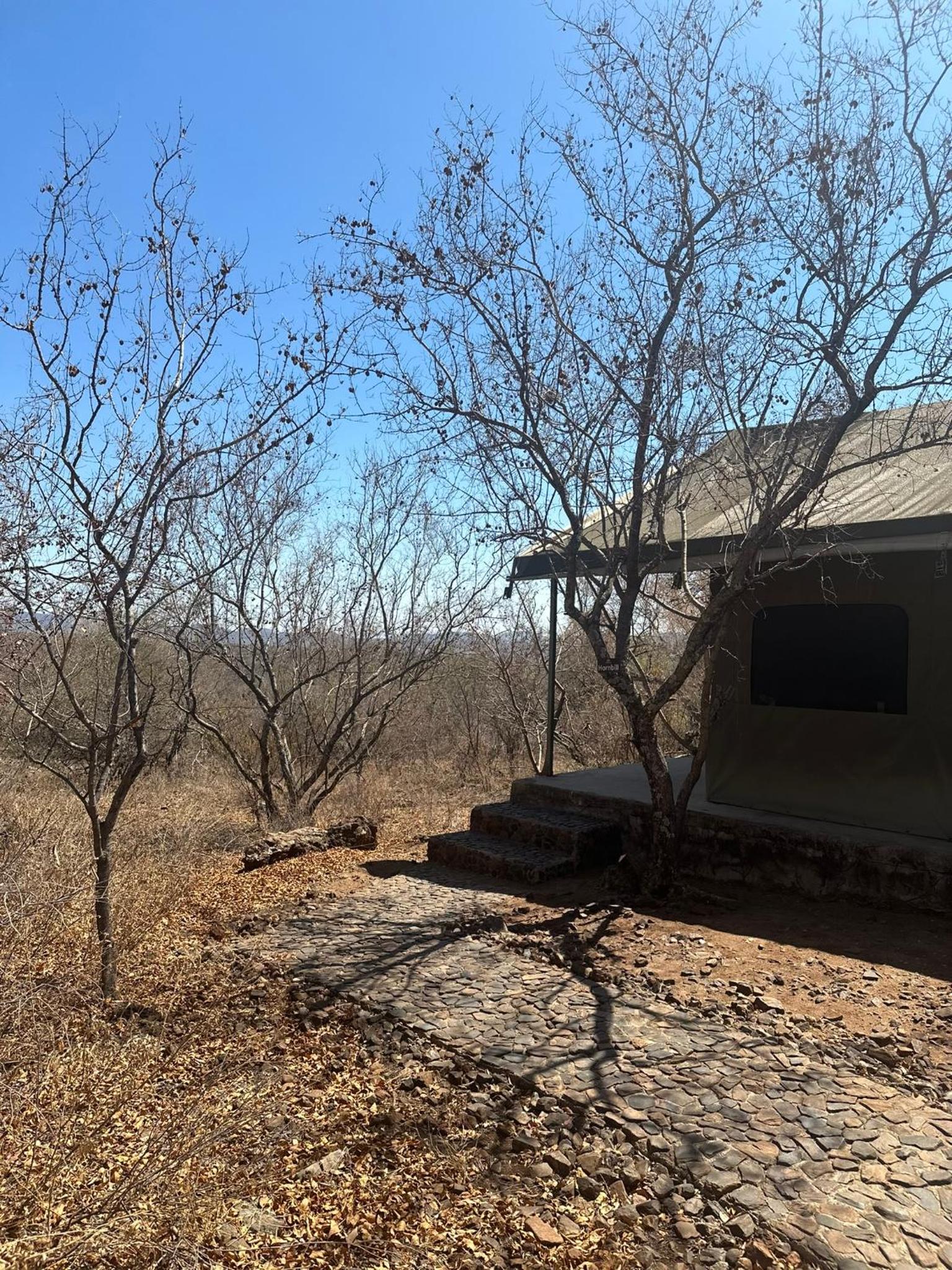 Tent photo 3