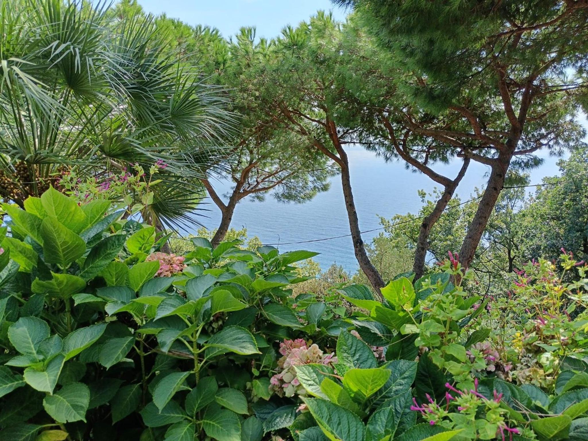 Apartment with Sea View photo 3