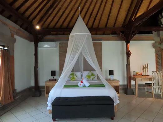 Deluxe Room with Mountain View