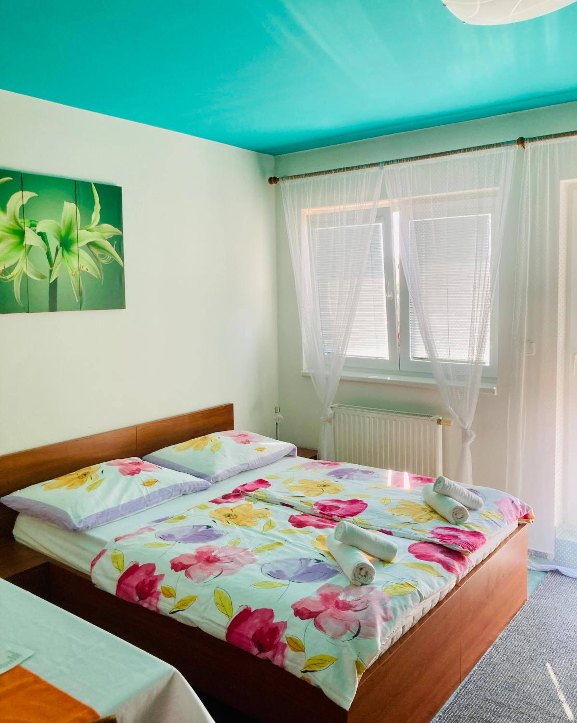 Double Room with Balcony