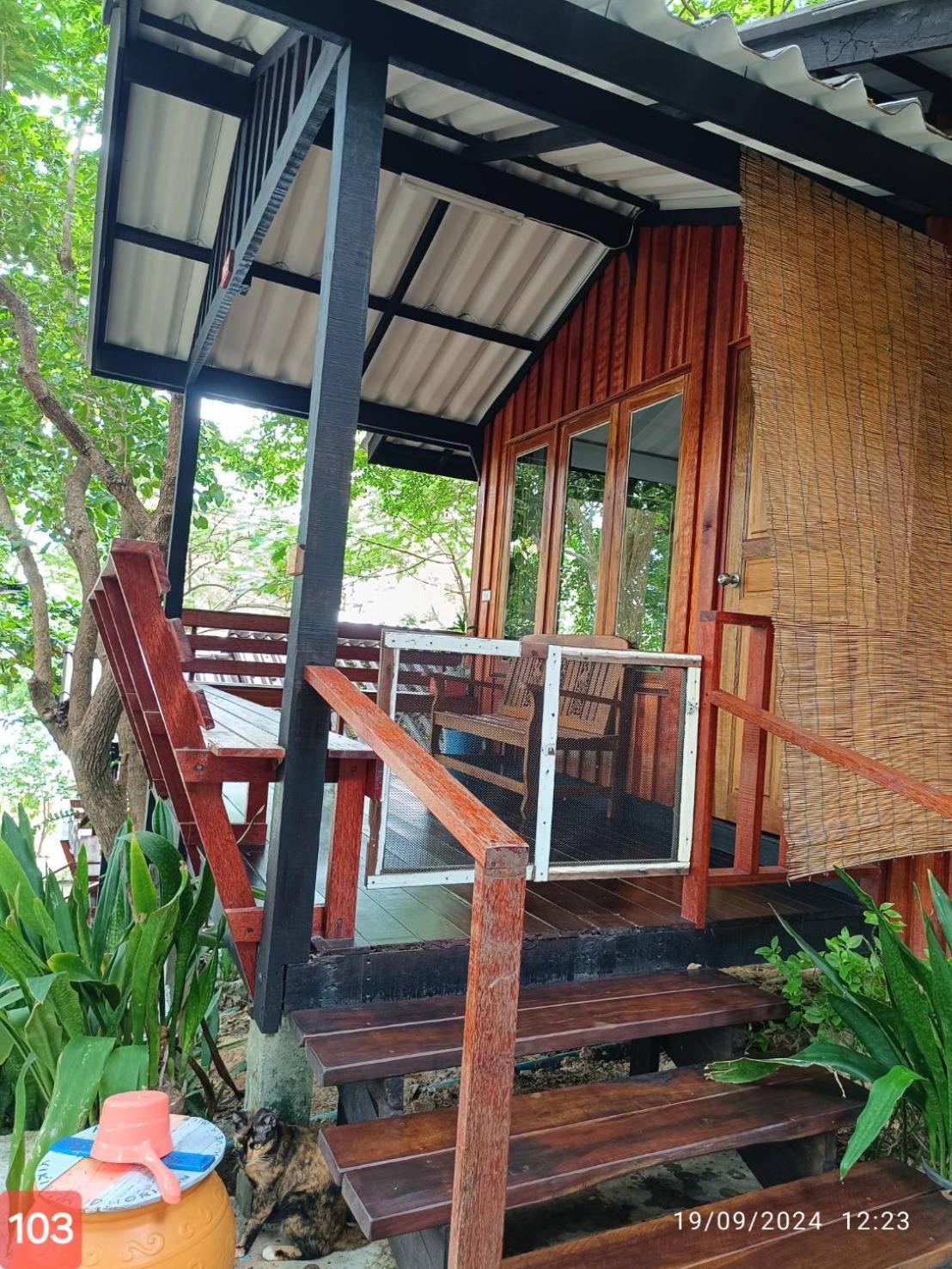 Standard King Room - Photo 25