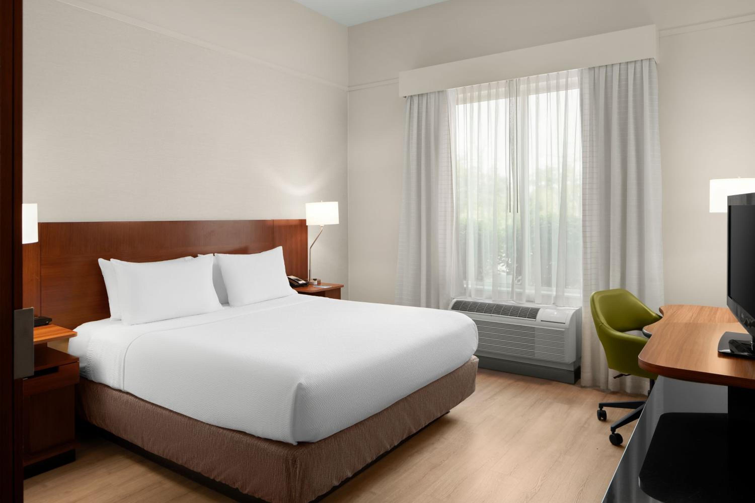 King Room photo 1