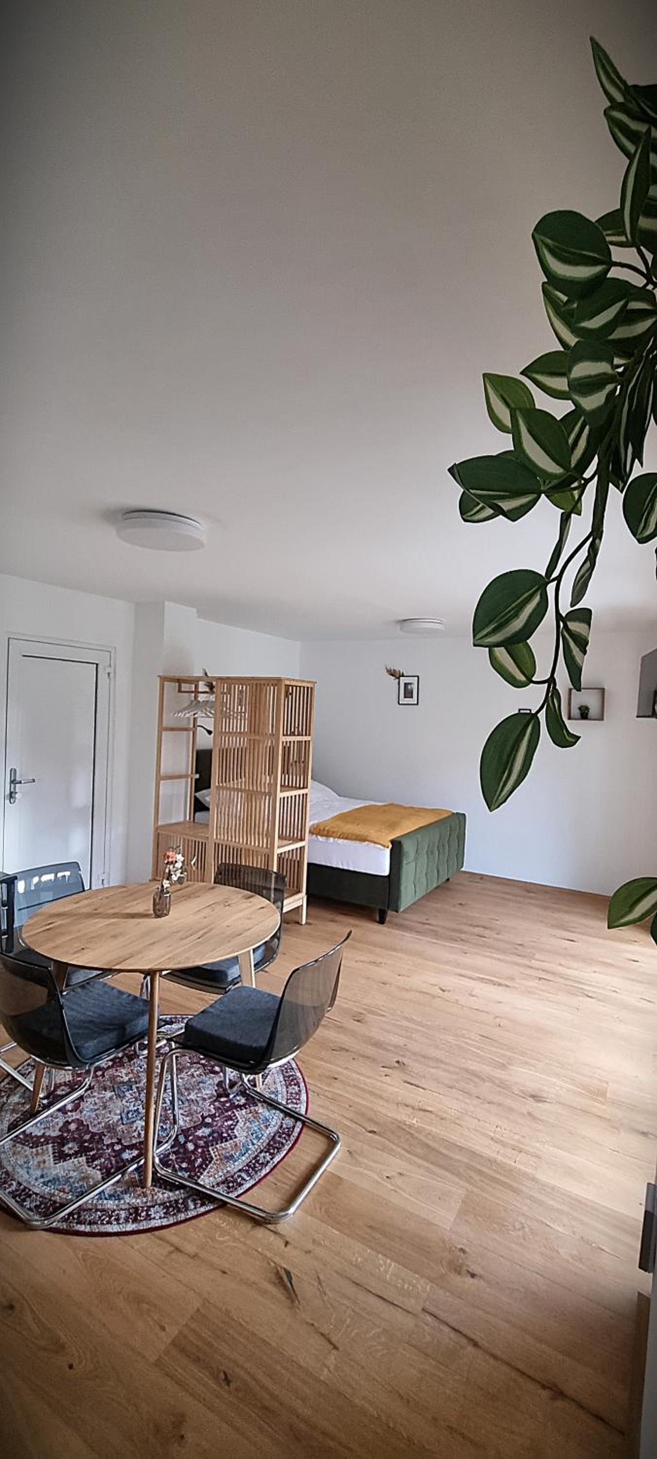 Studio with Balcony photo 1