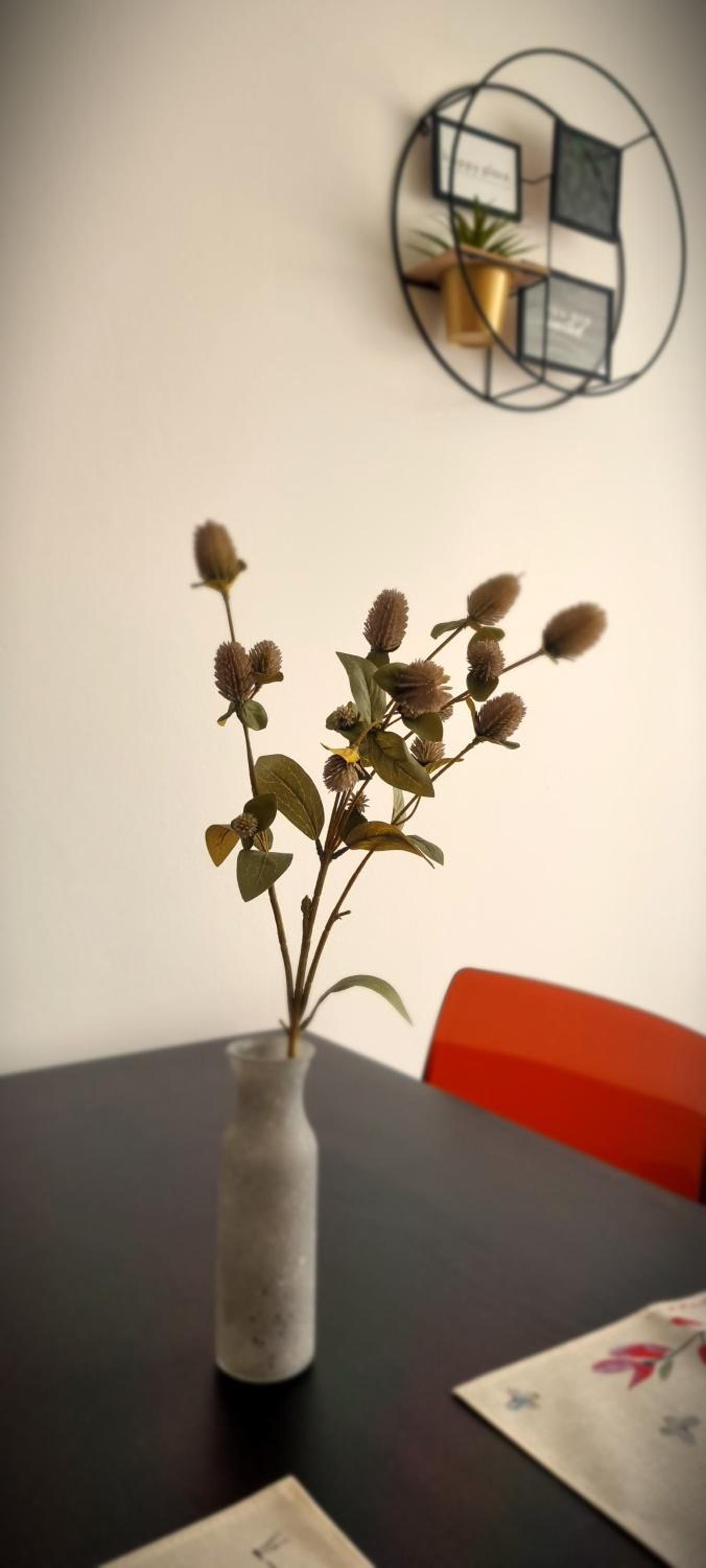 Family Studio photo 2