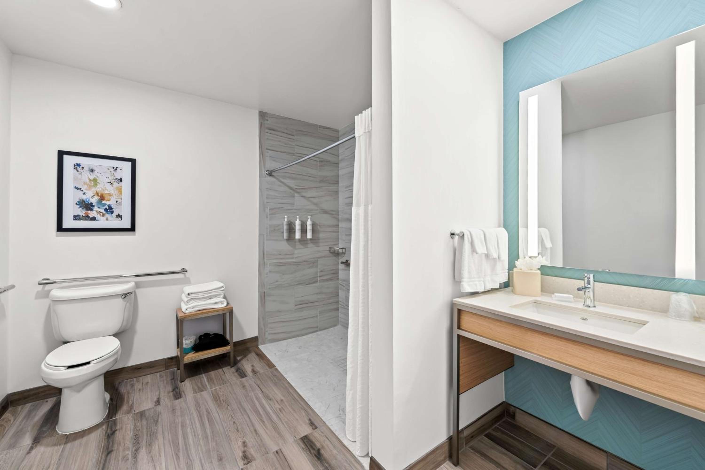 King Room with Roll-In Shower - Mobility Access - Photo 5