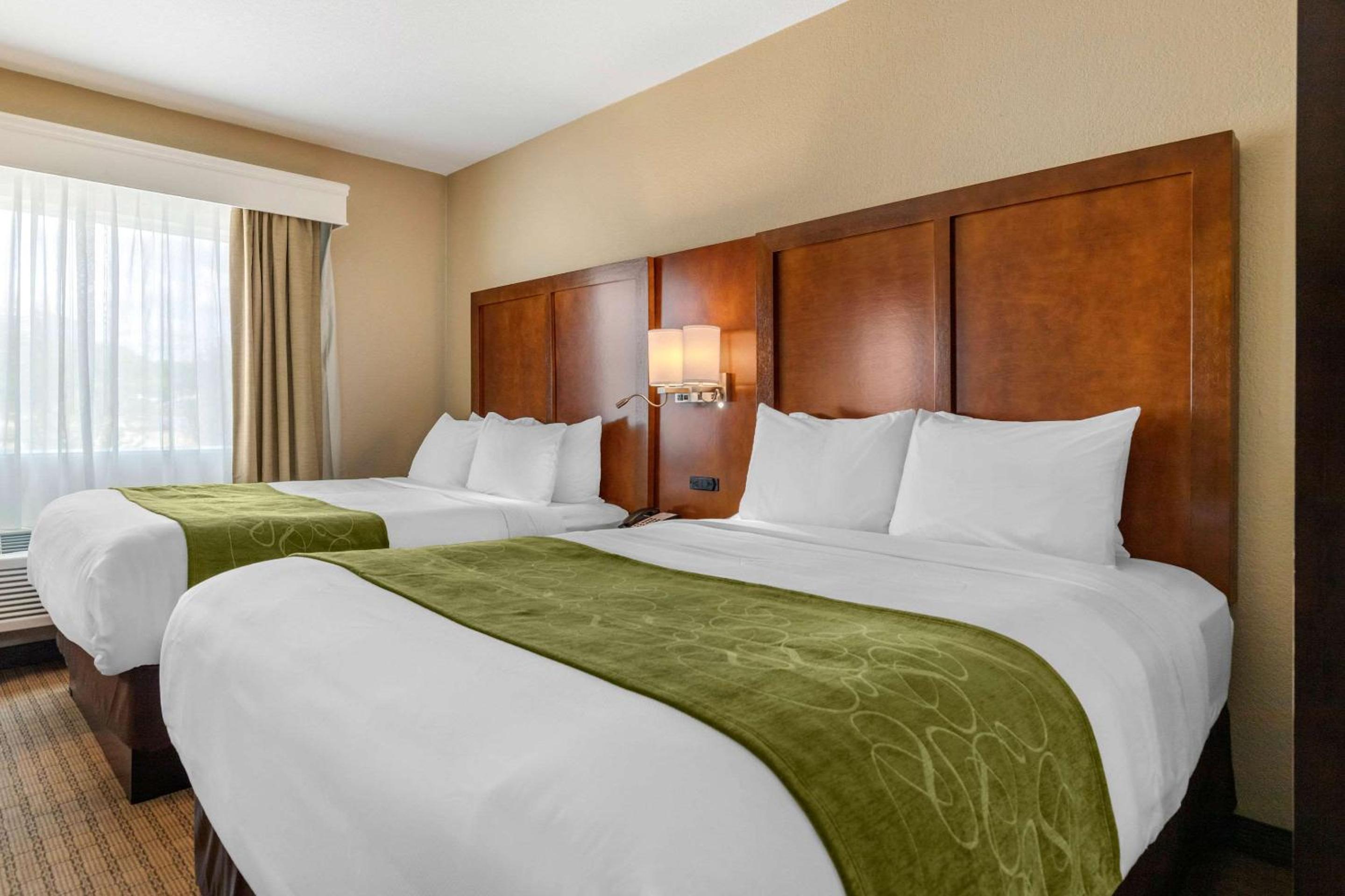 Queen Suite with Two Queen Beds - Non-Smoking - Photo 3