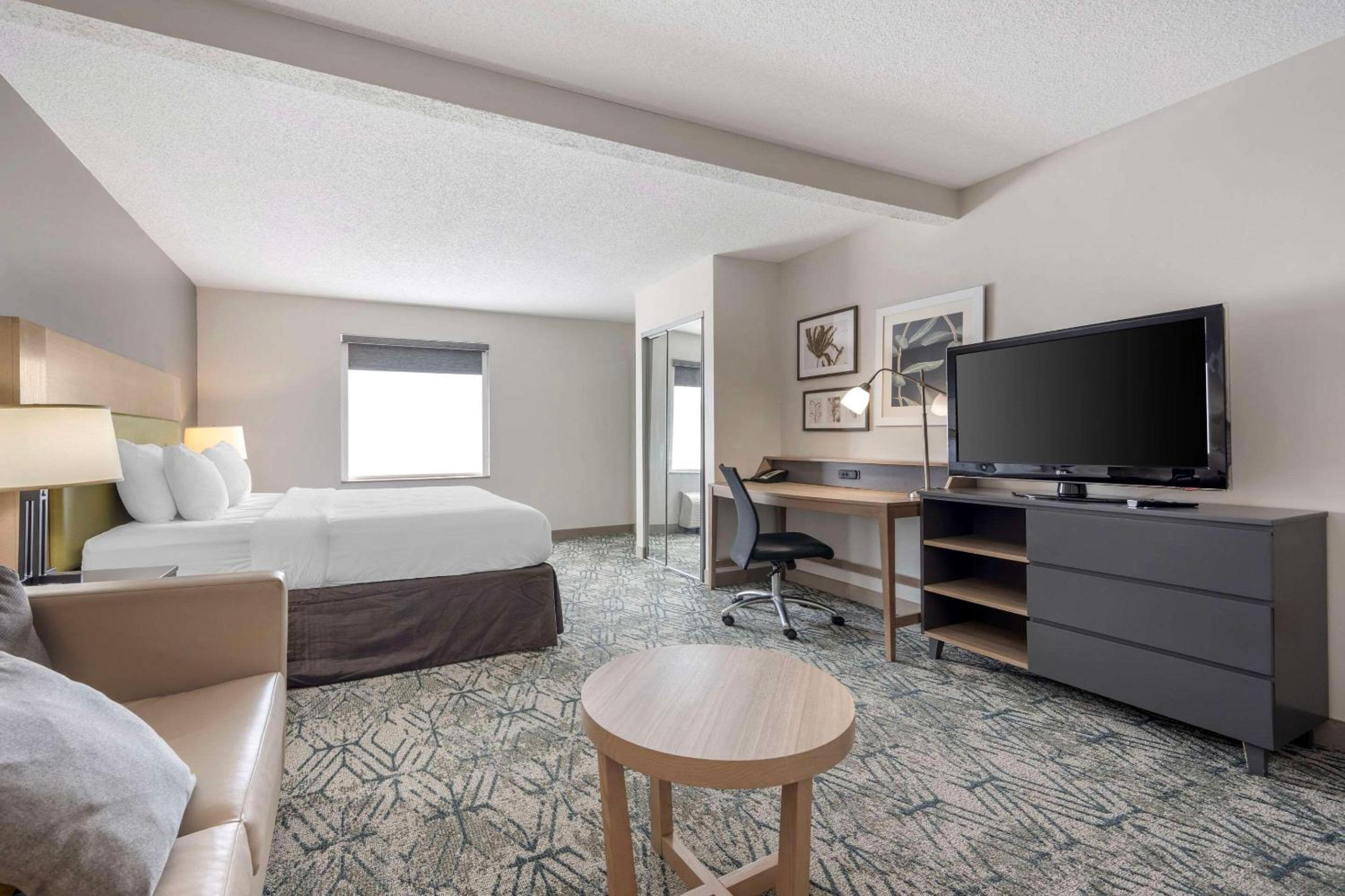 King Suite with Sofa Bed - Non-Smoking - Photo 6