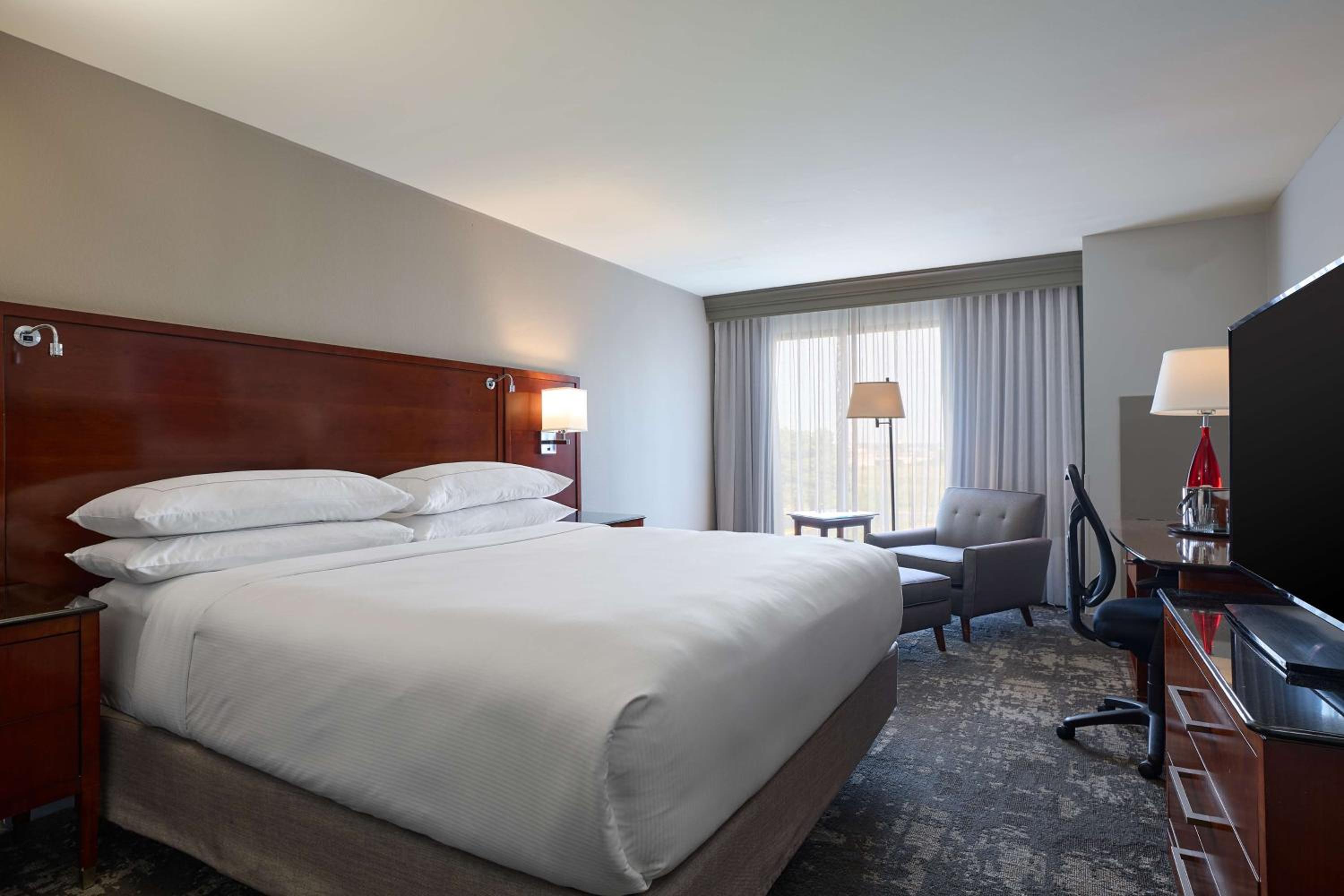 King Room photo 1
