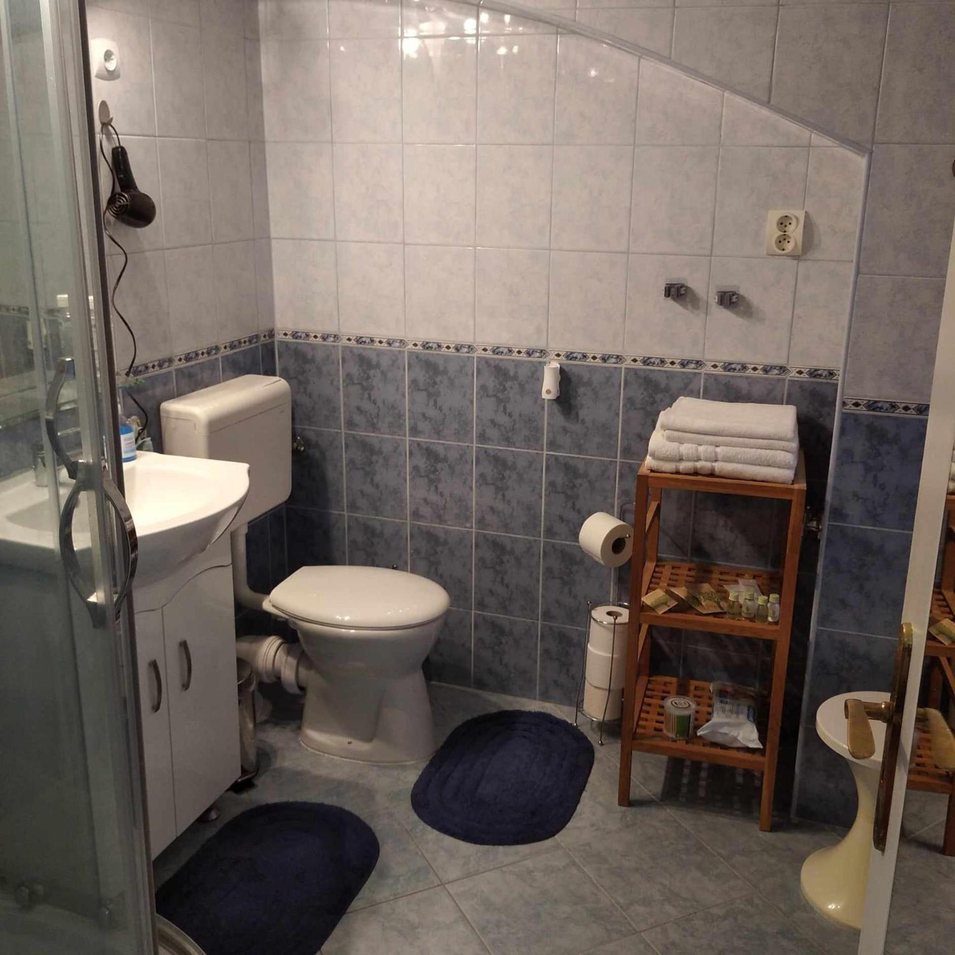 One-Bedroom Apartment photo 3