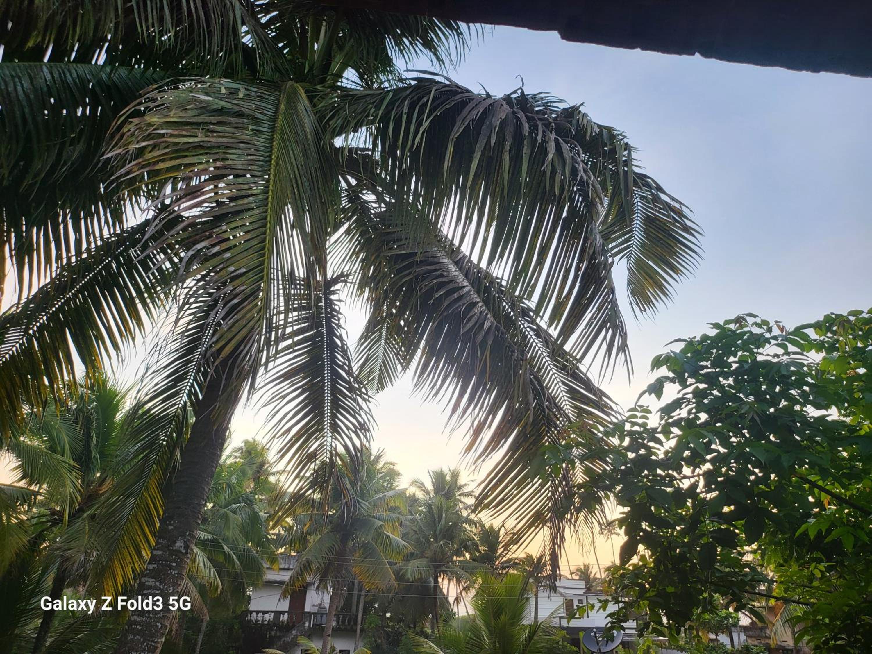 Deluxe Double Room with Balcony and Sea View photo 2