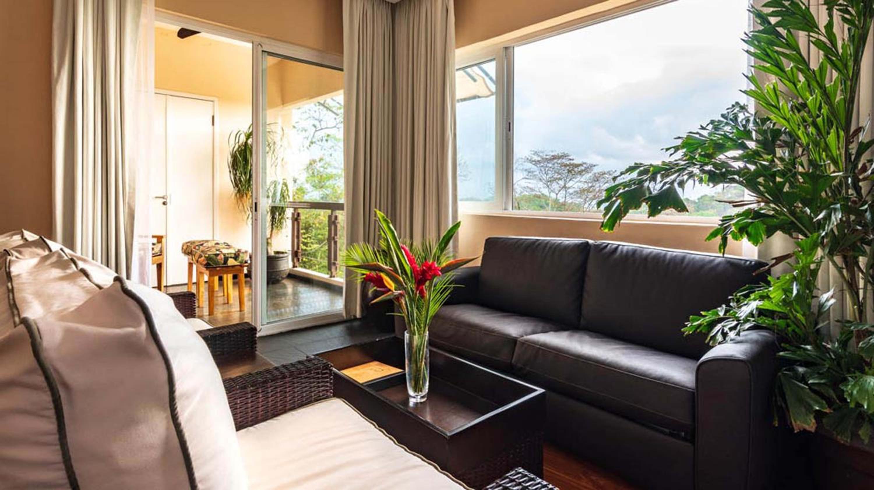 Suite photo 3