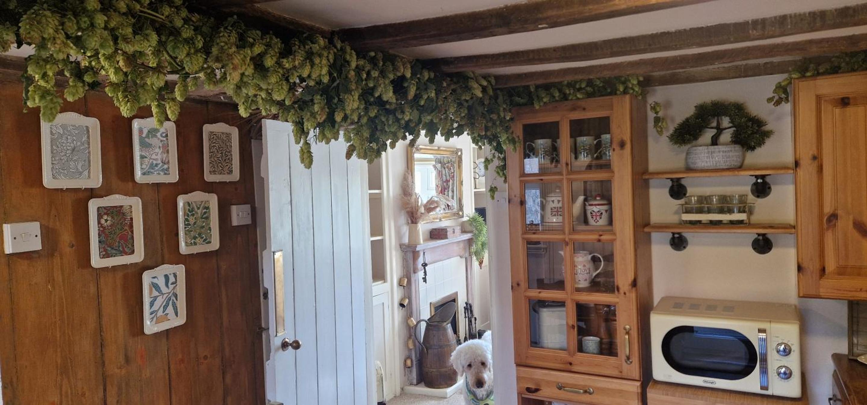 One-Bedroom Cottage photo 3