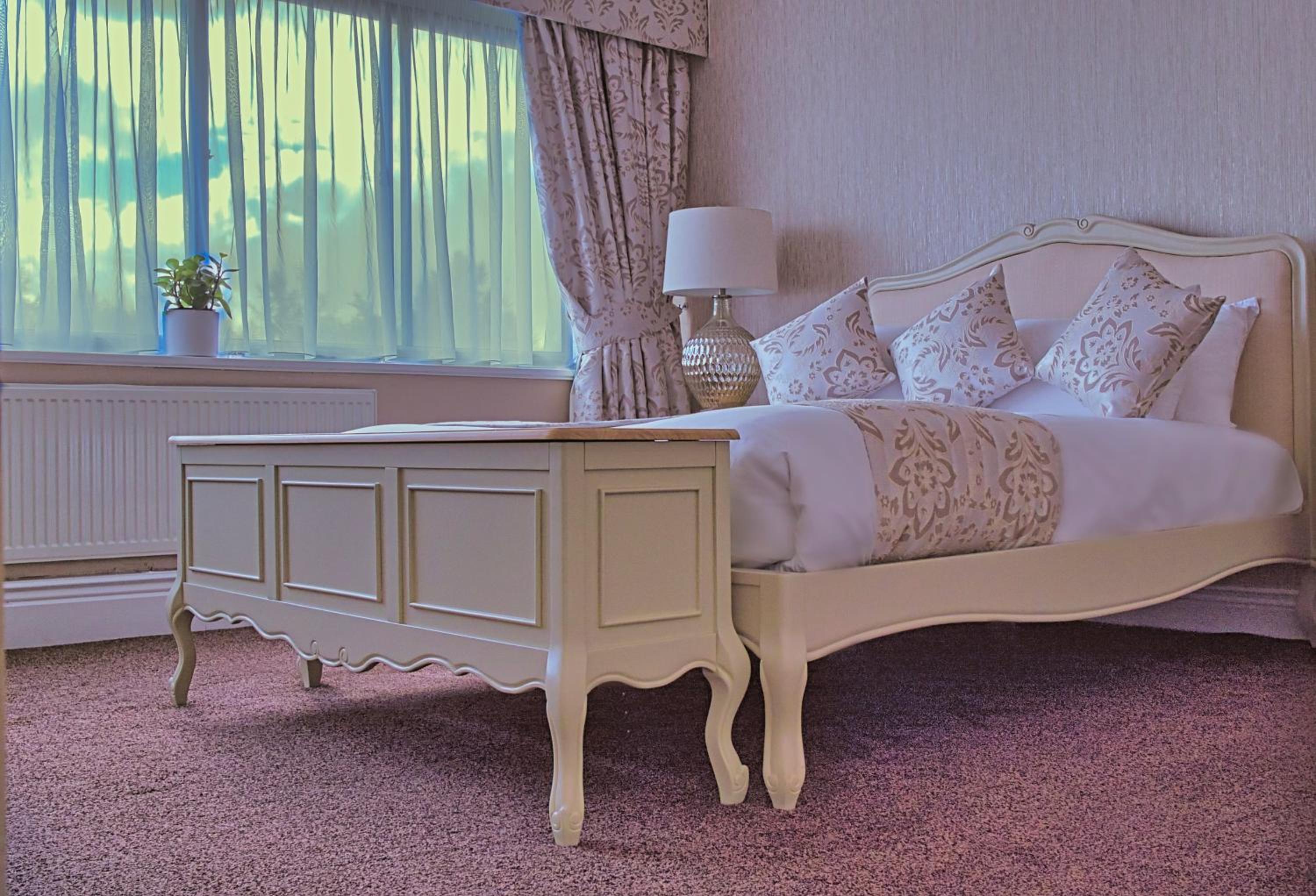 Suite - Photo 1