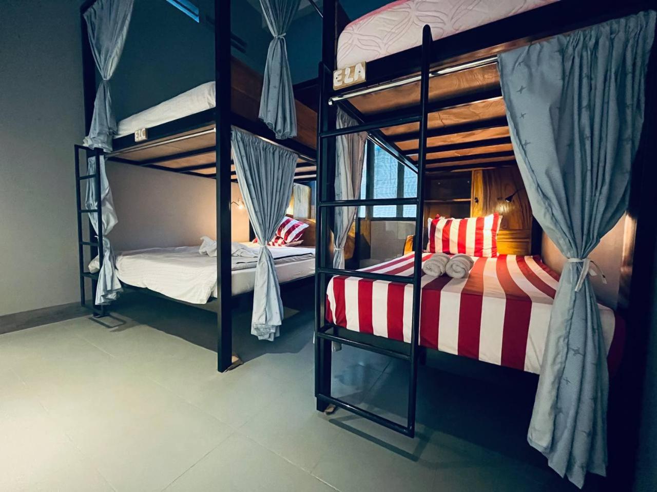 Bunk Bed In Mixed Dormitory Room photo 1