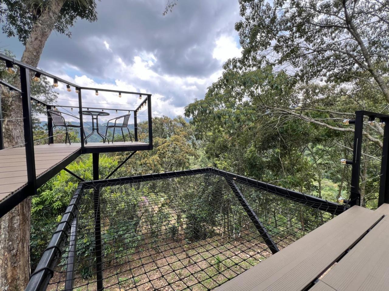 Double Room with Terrace photo 3