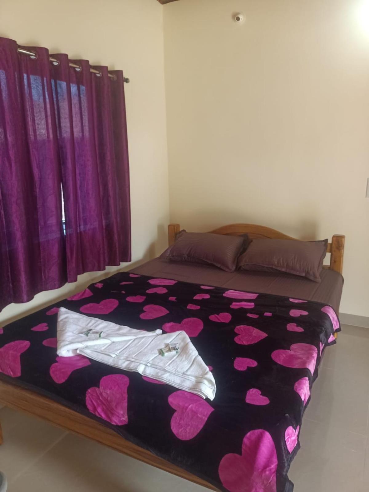 Standard Double Room With Fan photo 1