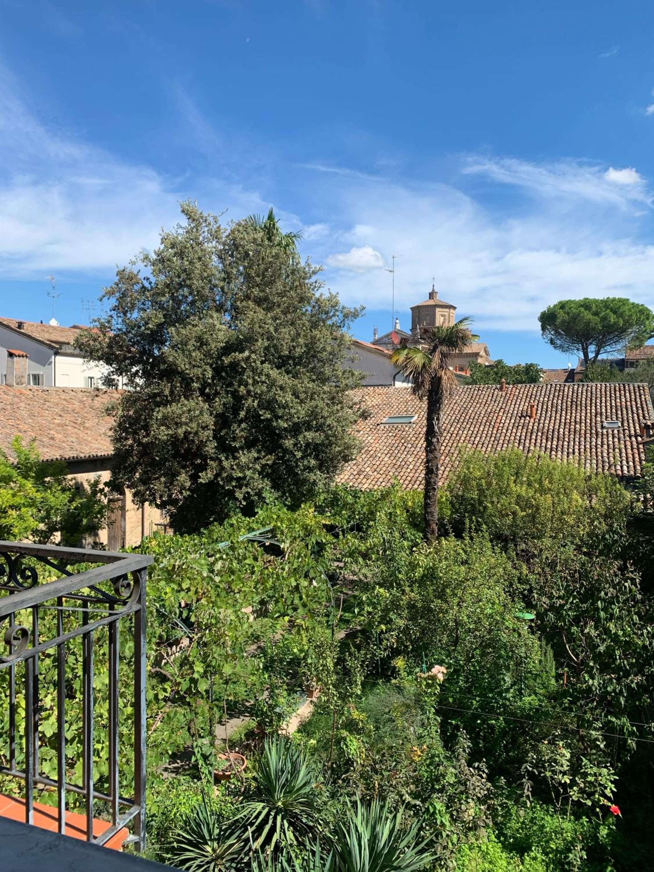 Double Room with Garden View photo 3