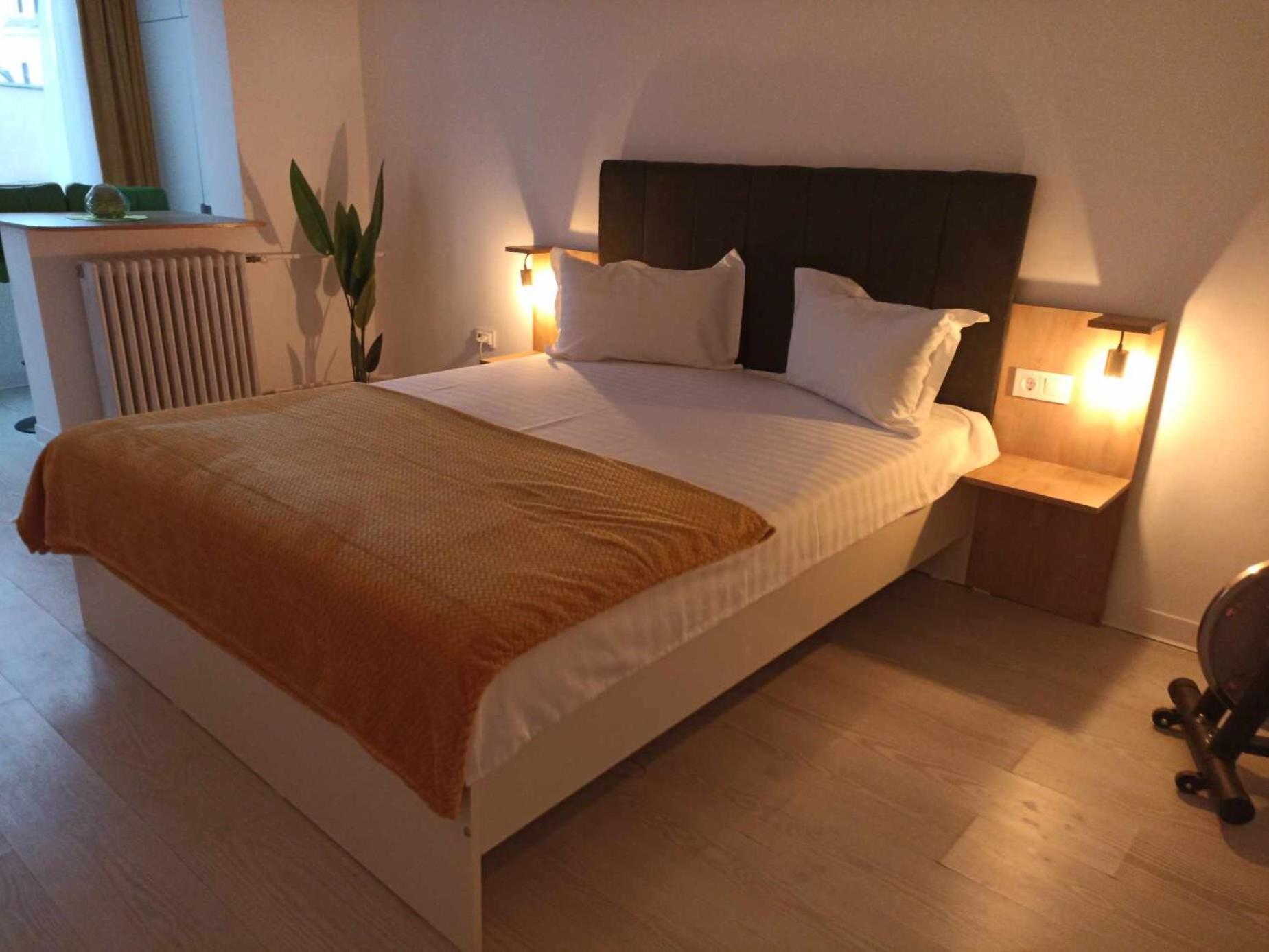 One-Bedroom Apartment photo 2