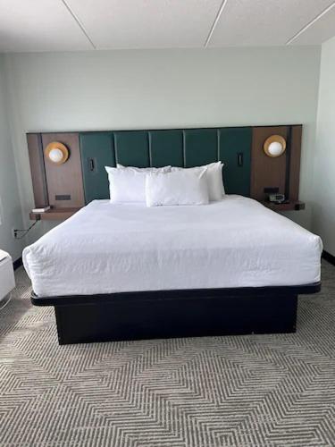 King Room with One King Bed - Mobility Accessible - No Pets/Non-Smoking - Photo 4