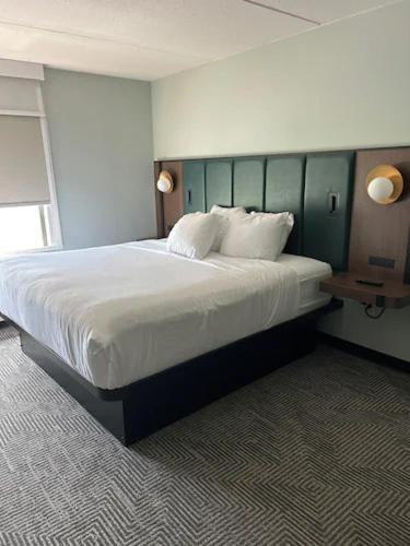 King Room with One King Bed - Mobility Accessible - No Pets/Non-Smoking - Photo 1