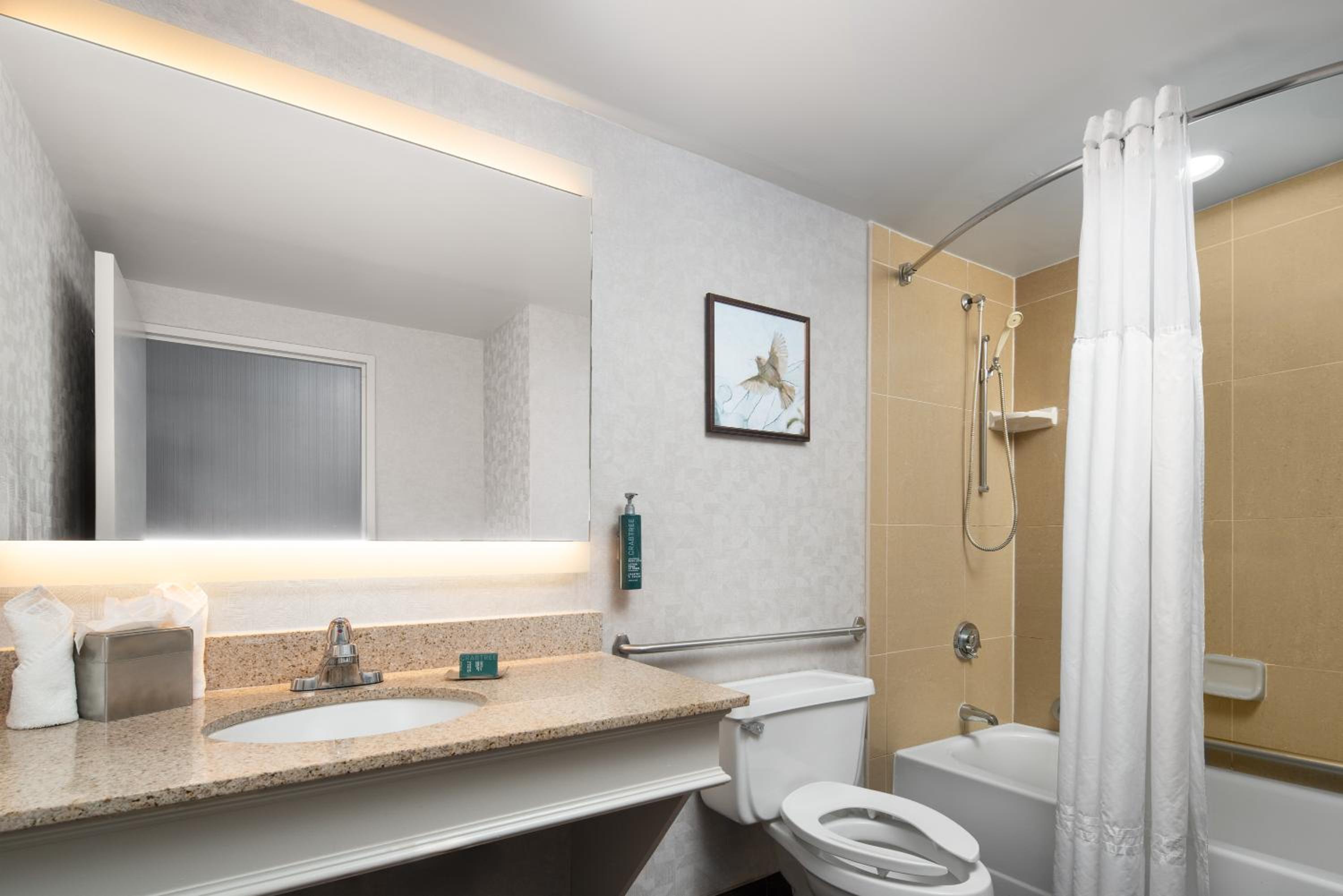 Double Room- Disability Access with Tub/Non-Smoking